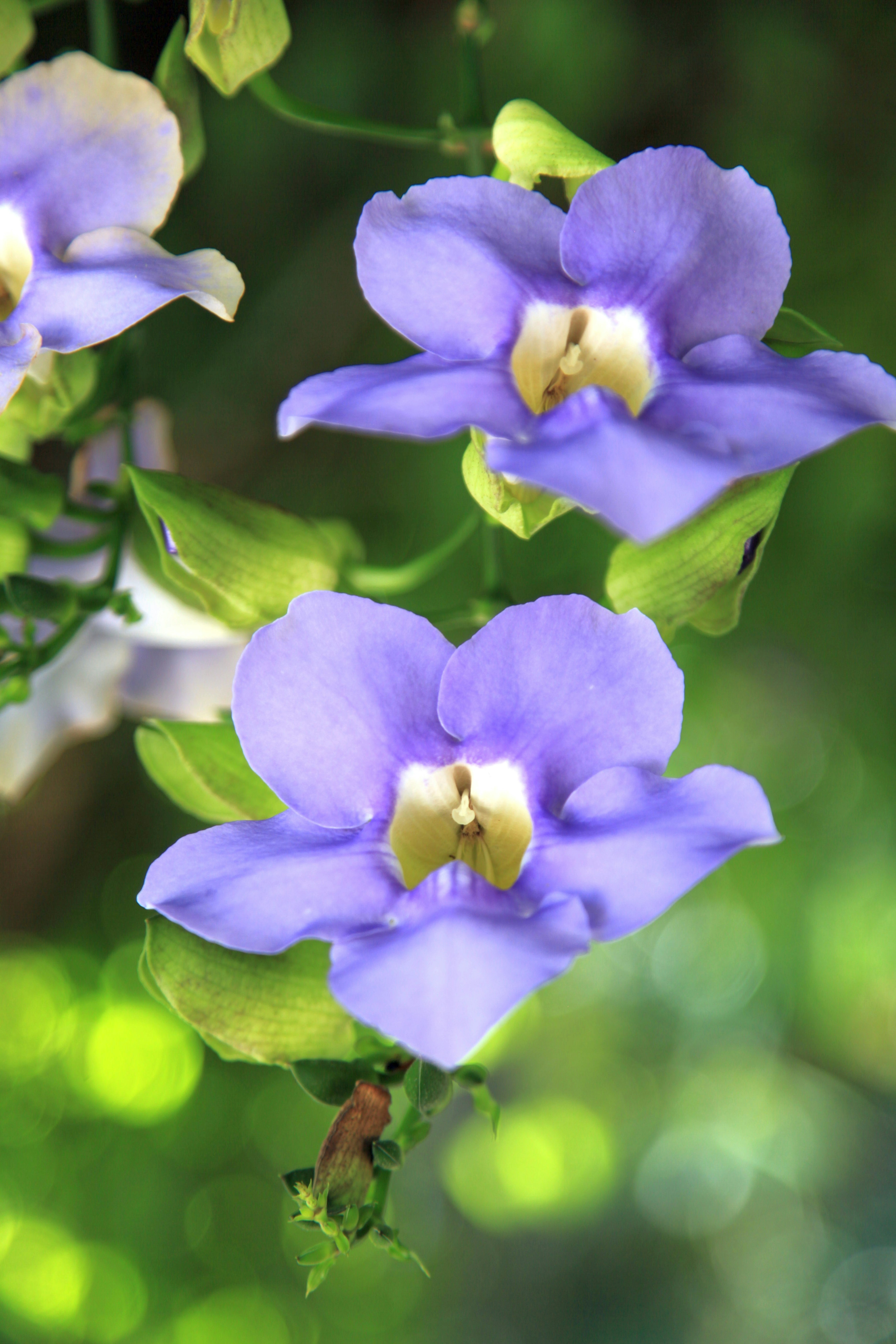 Photo by clearynotlost