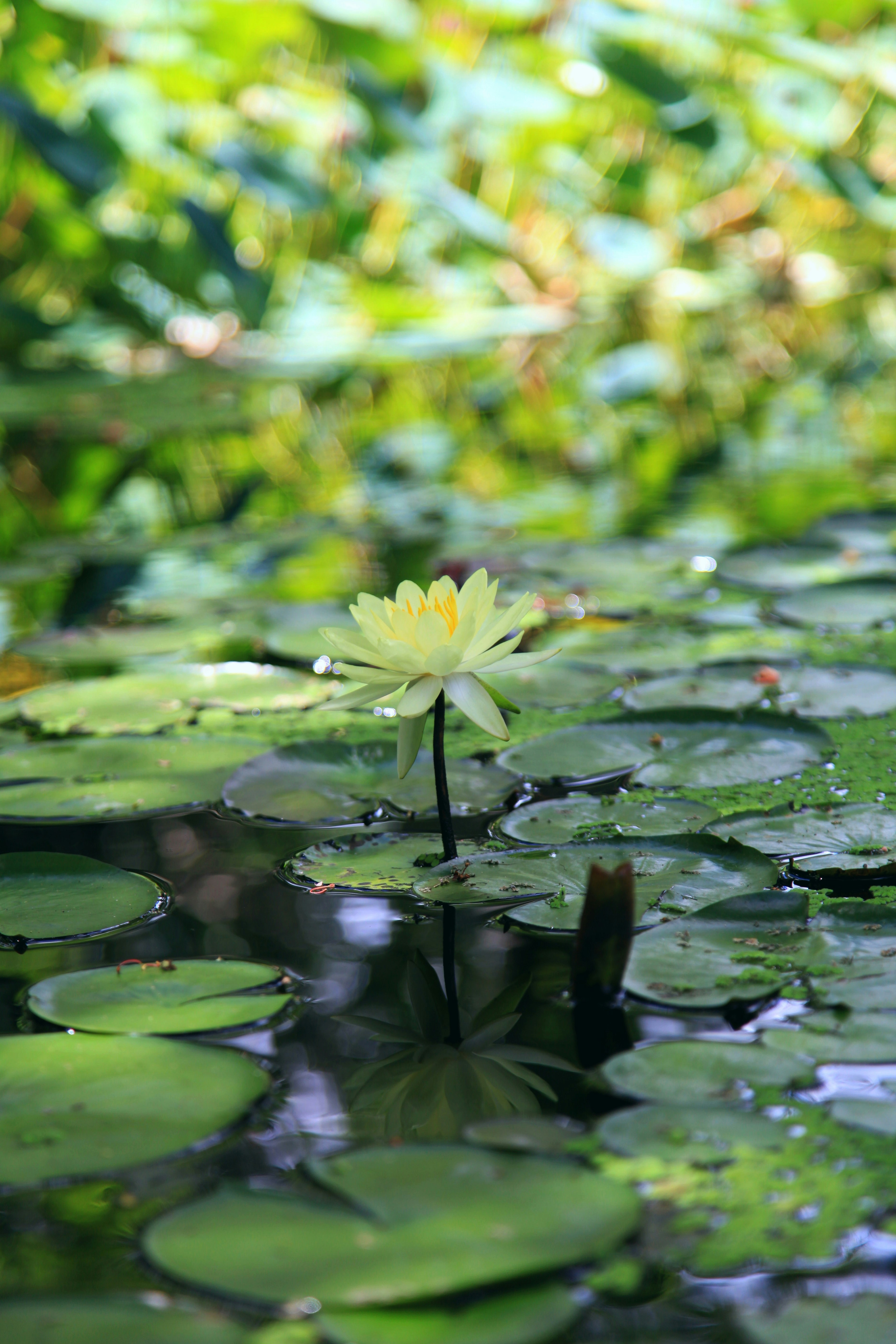 Photo by clearynotlost