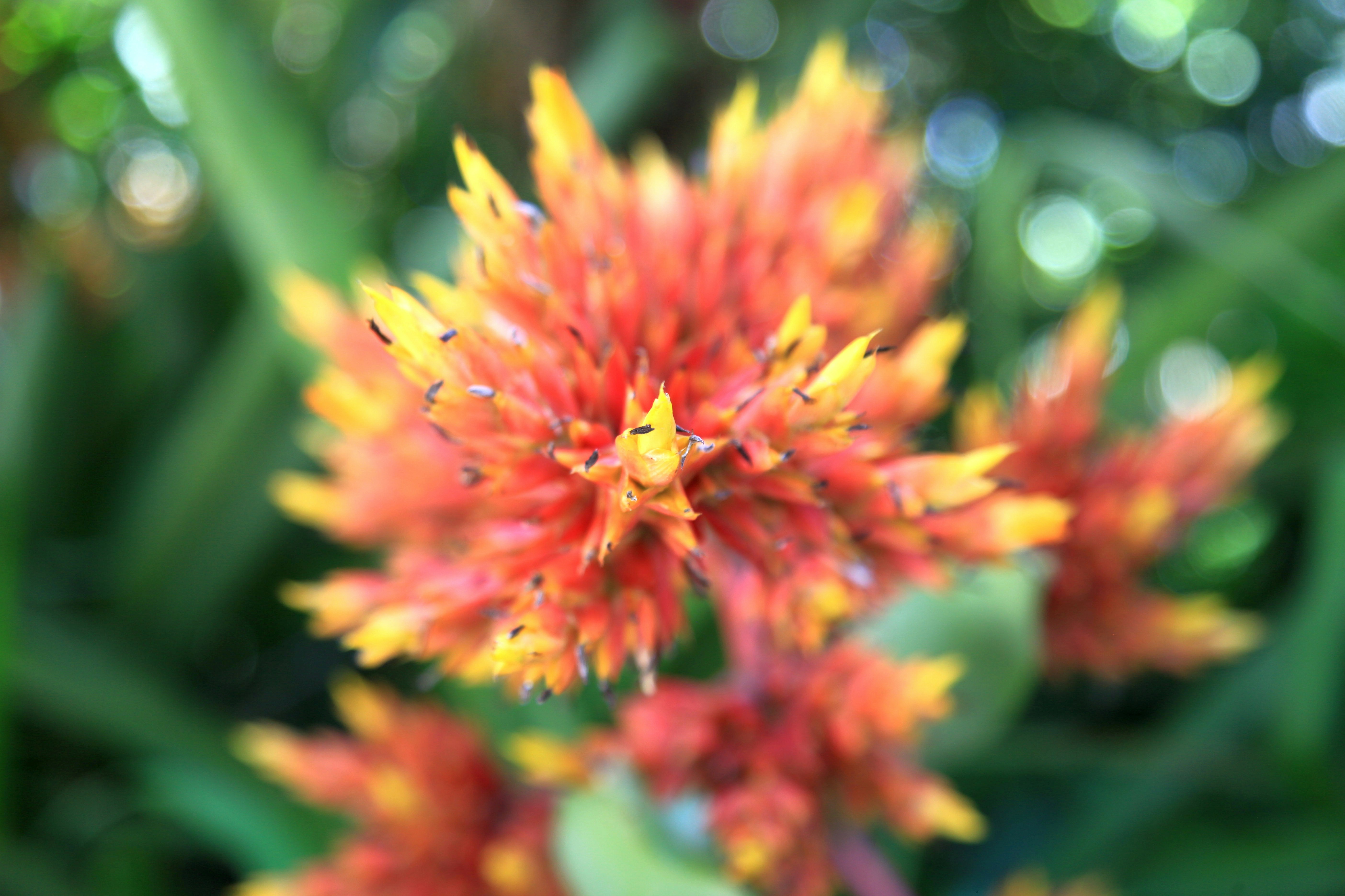 Photo by clearynotlost