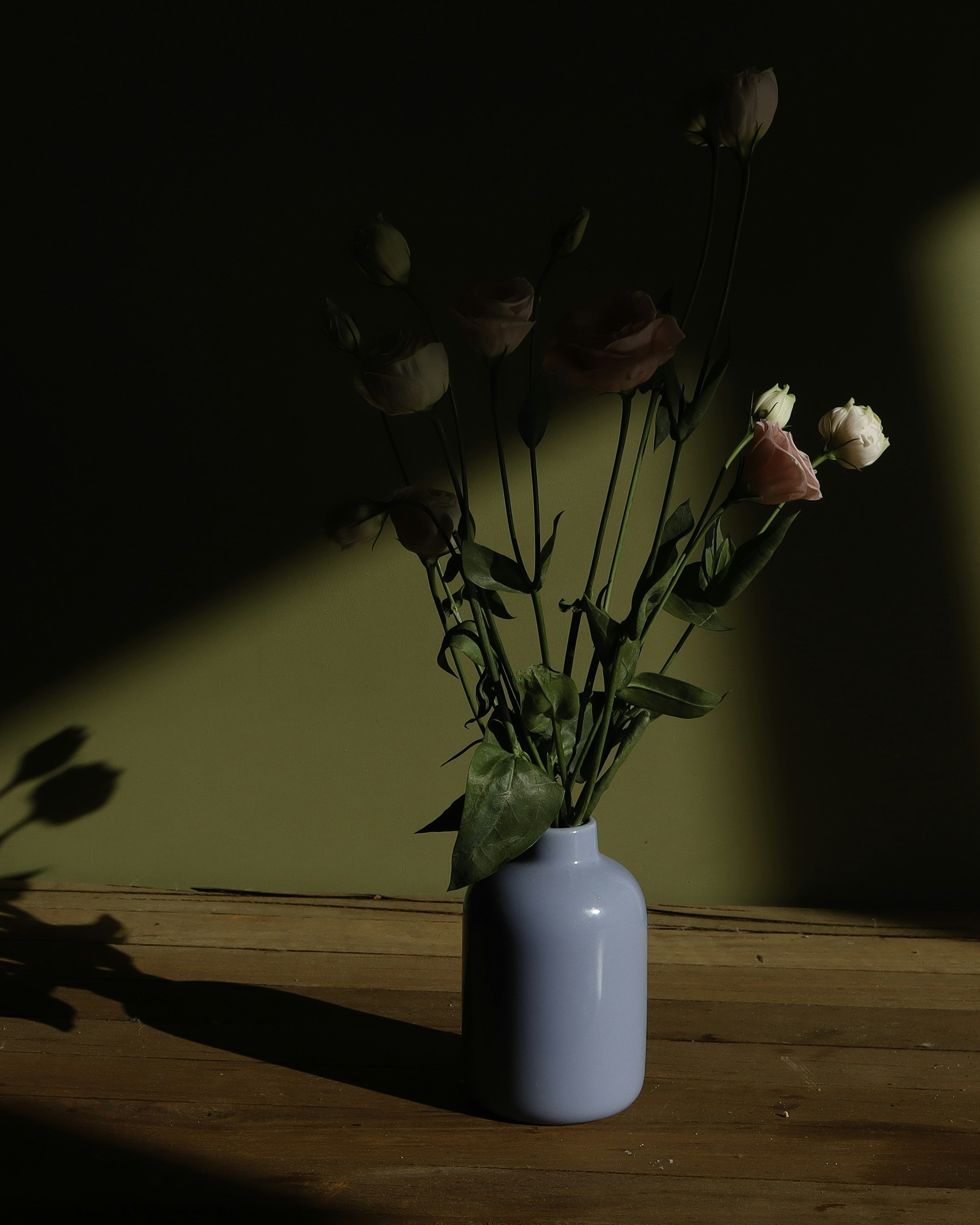 Photo by annaflowers24