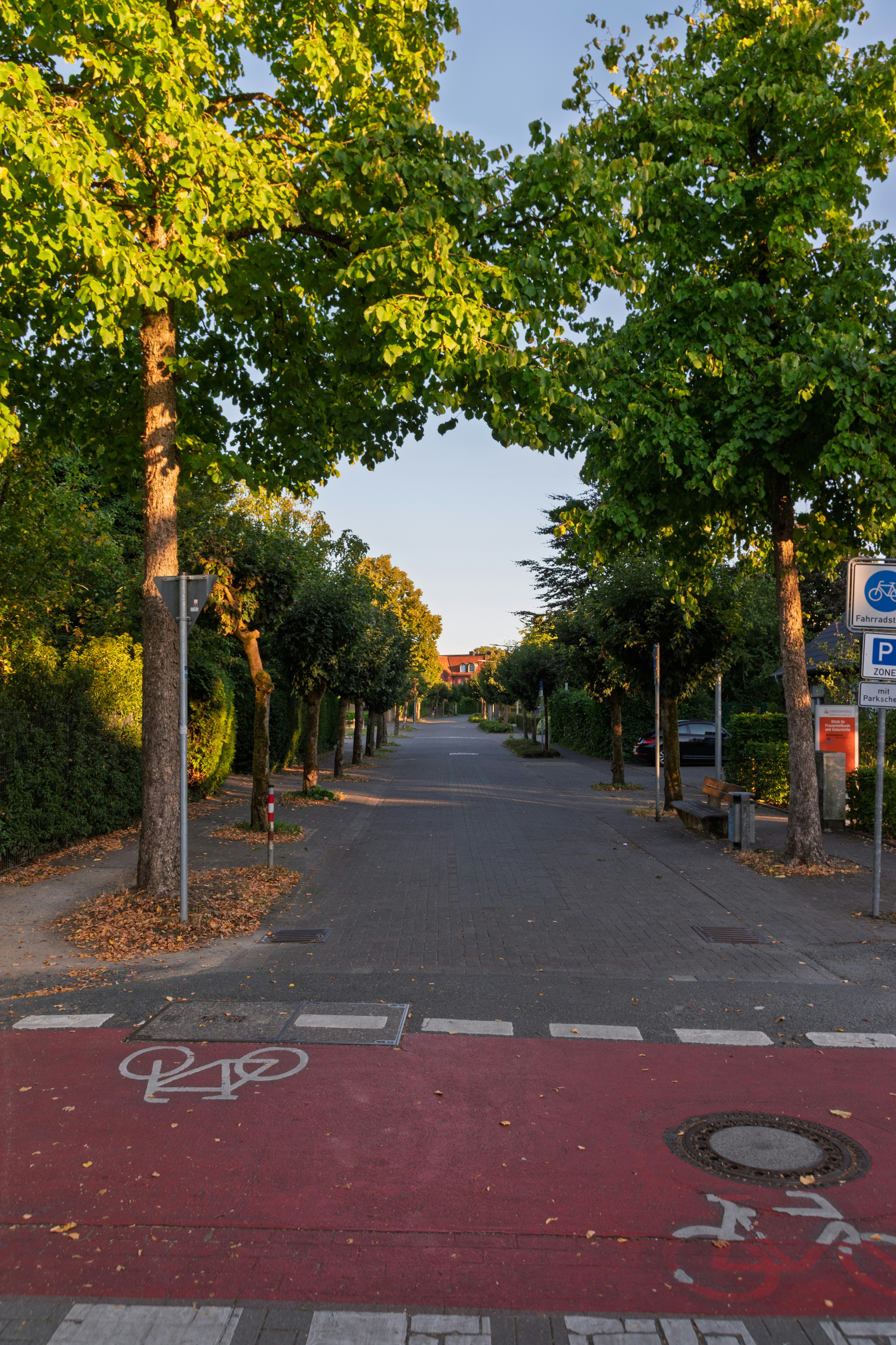 ถนนเรียงรายด้วยต้นไม้พร้อมเลนจักรยานในยามพระอาทิตย์ตก