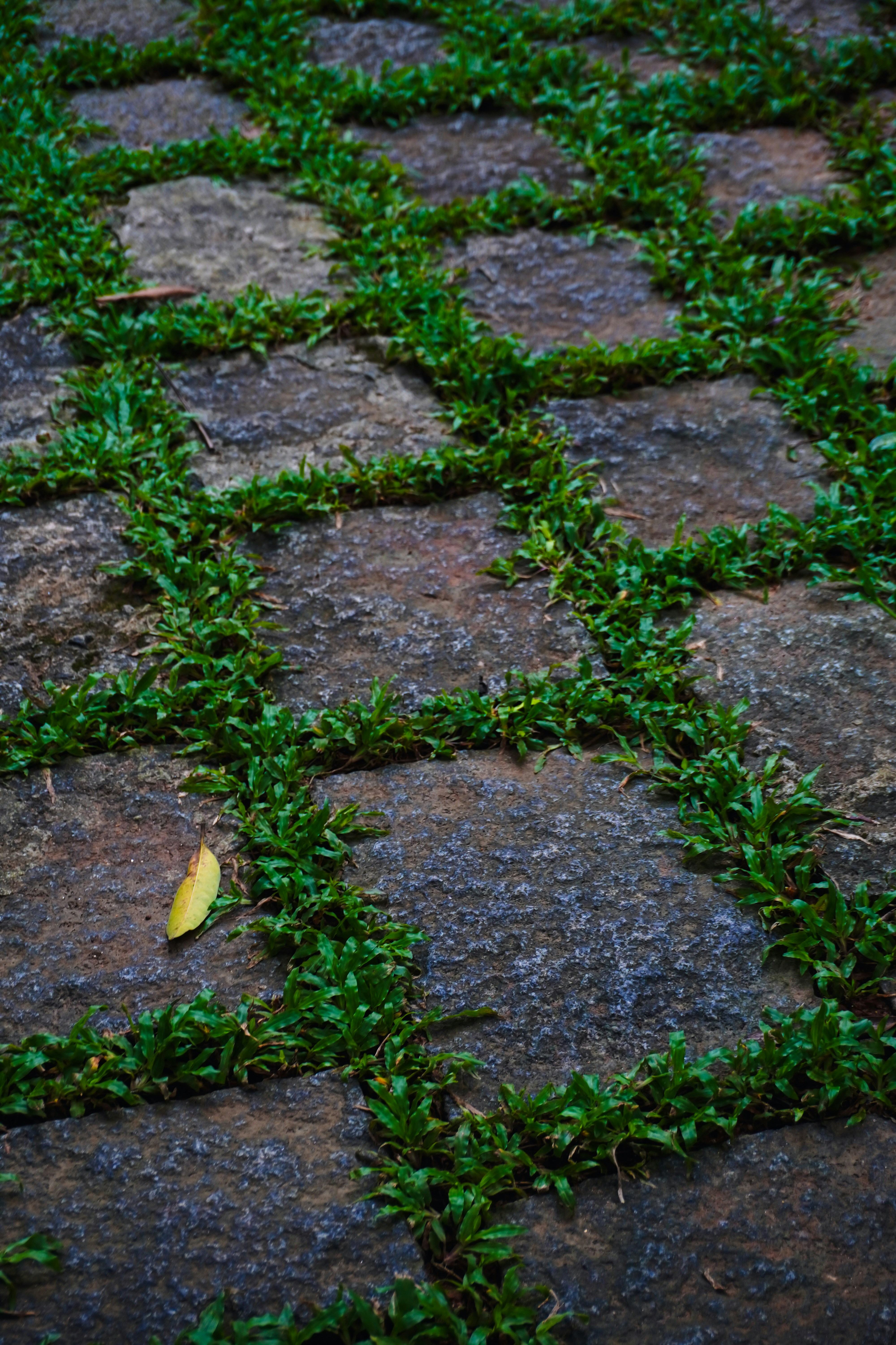 Photo by adhitya_2505