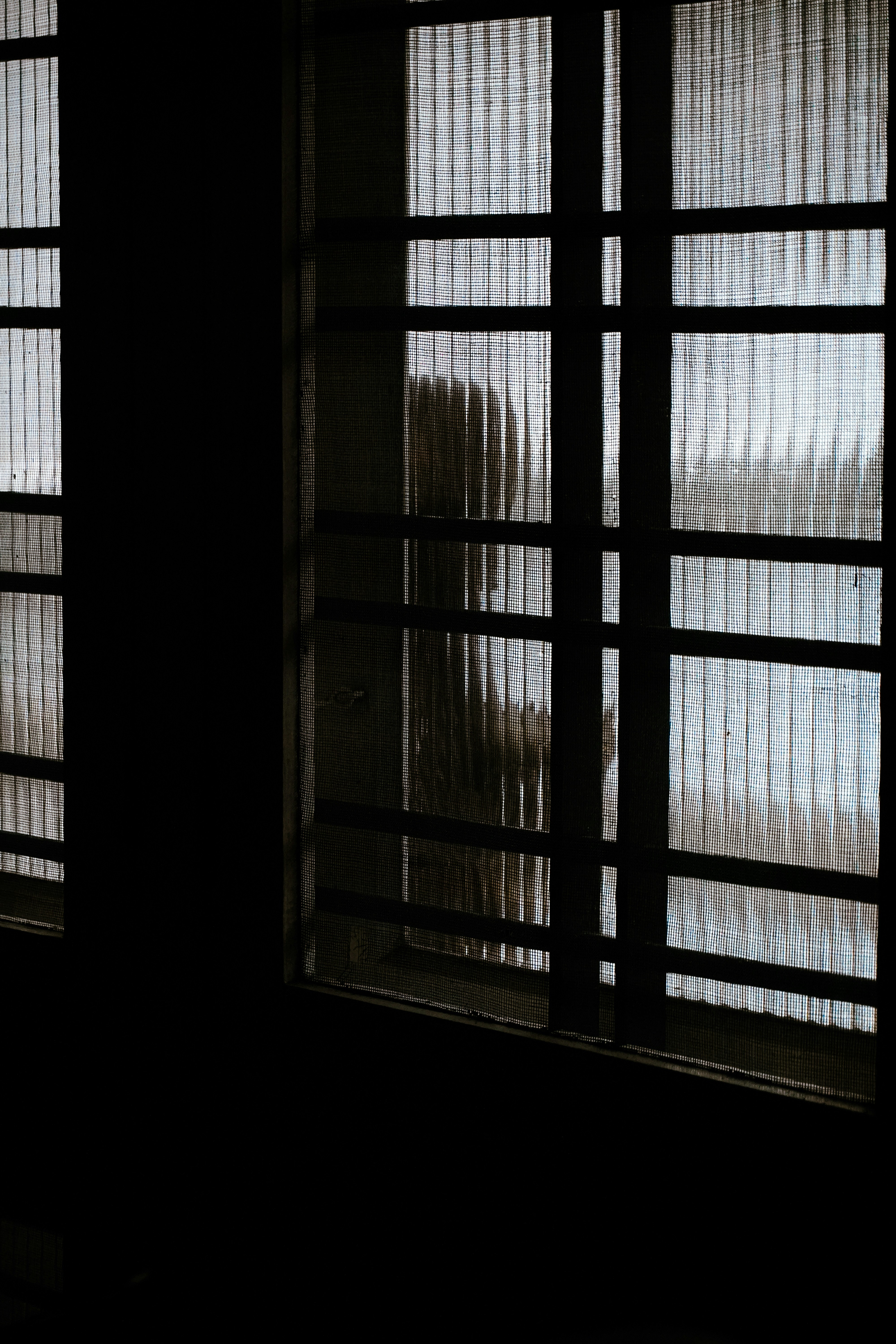 Photo by adhitya_2505