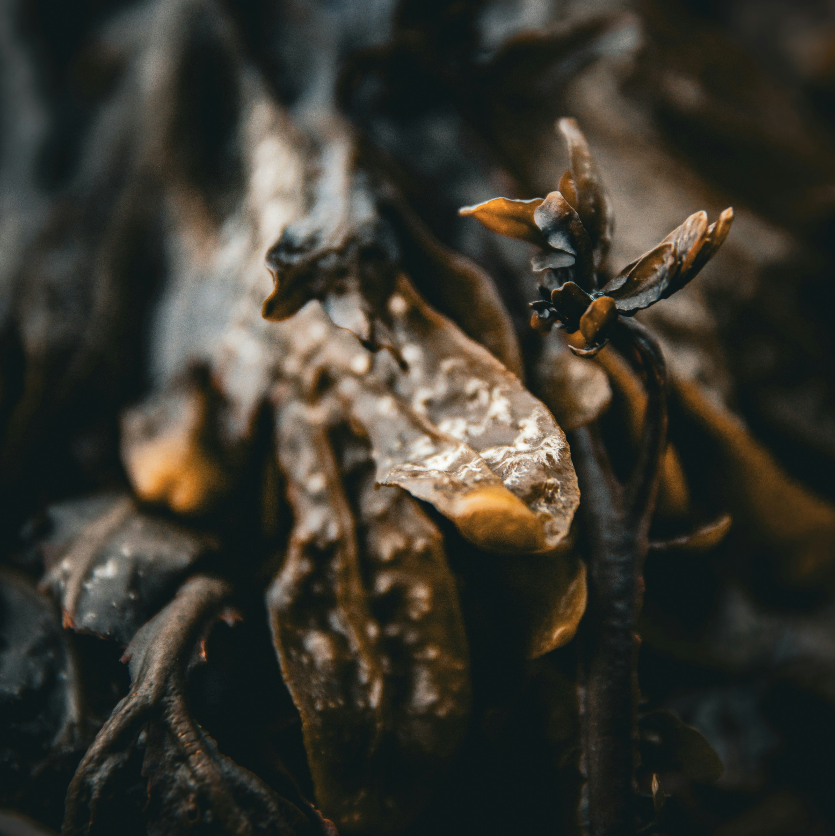 Photo by mlcphotography88