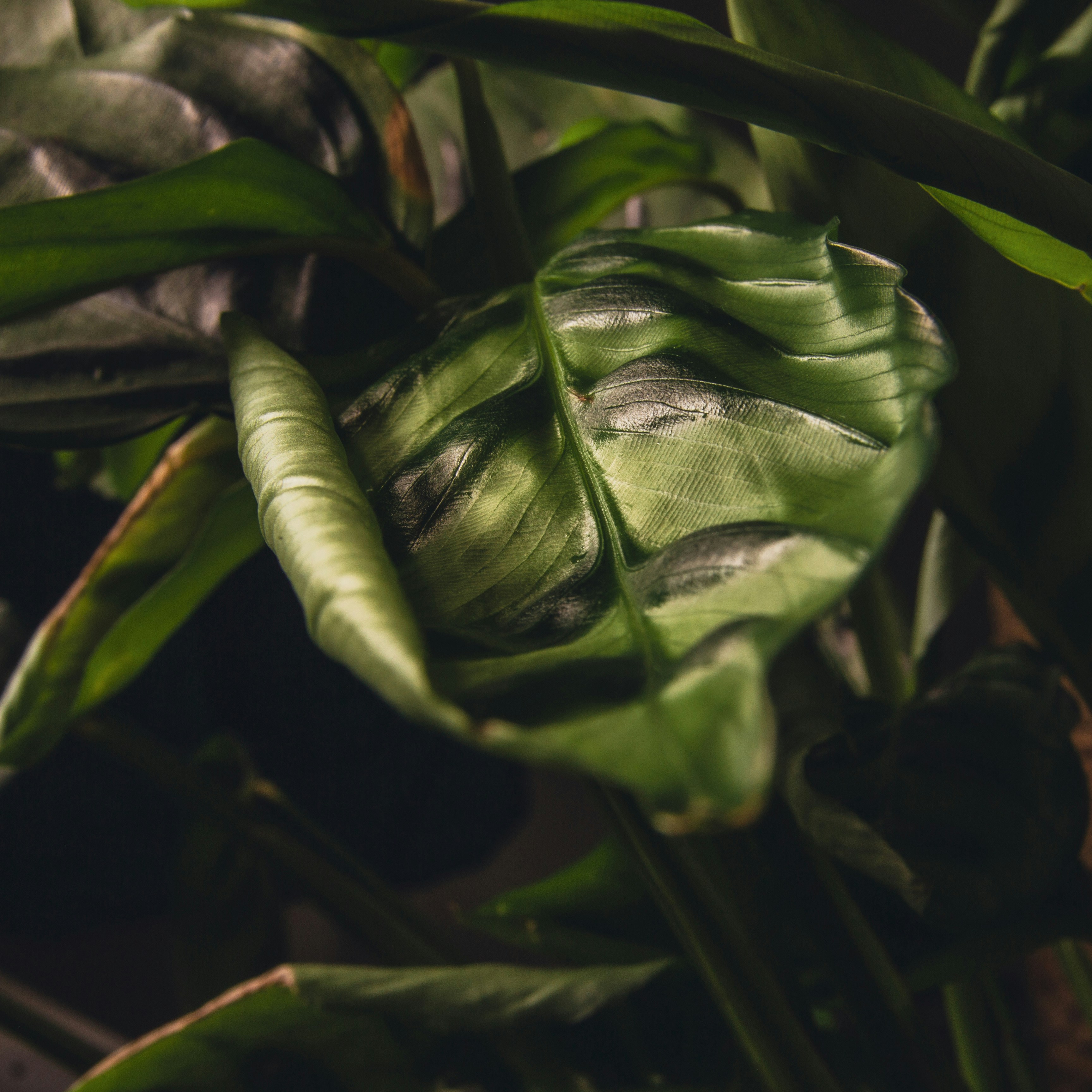 Photo by mlcphotography88