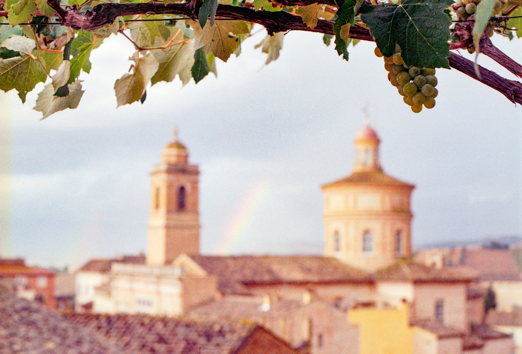 Slovácko — vinařská podoblast plná překvapení
