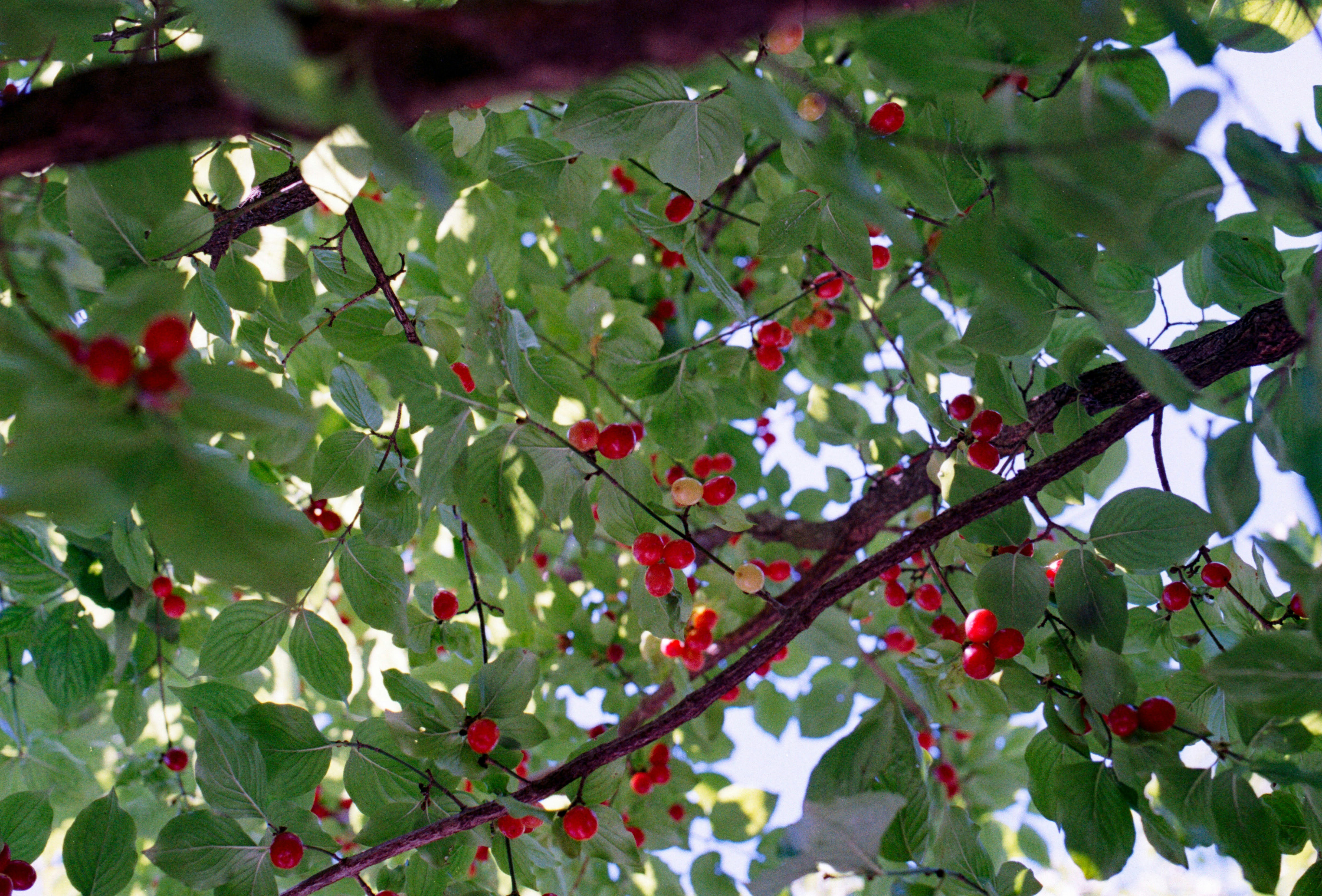 Photo by chrisvomradio