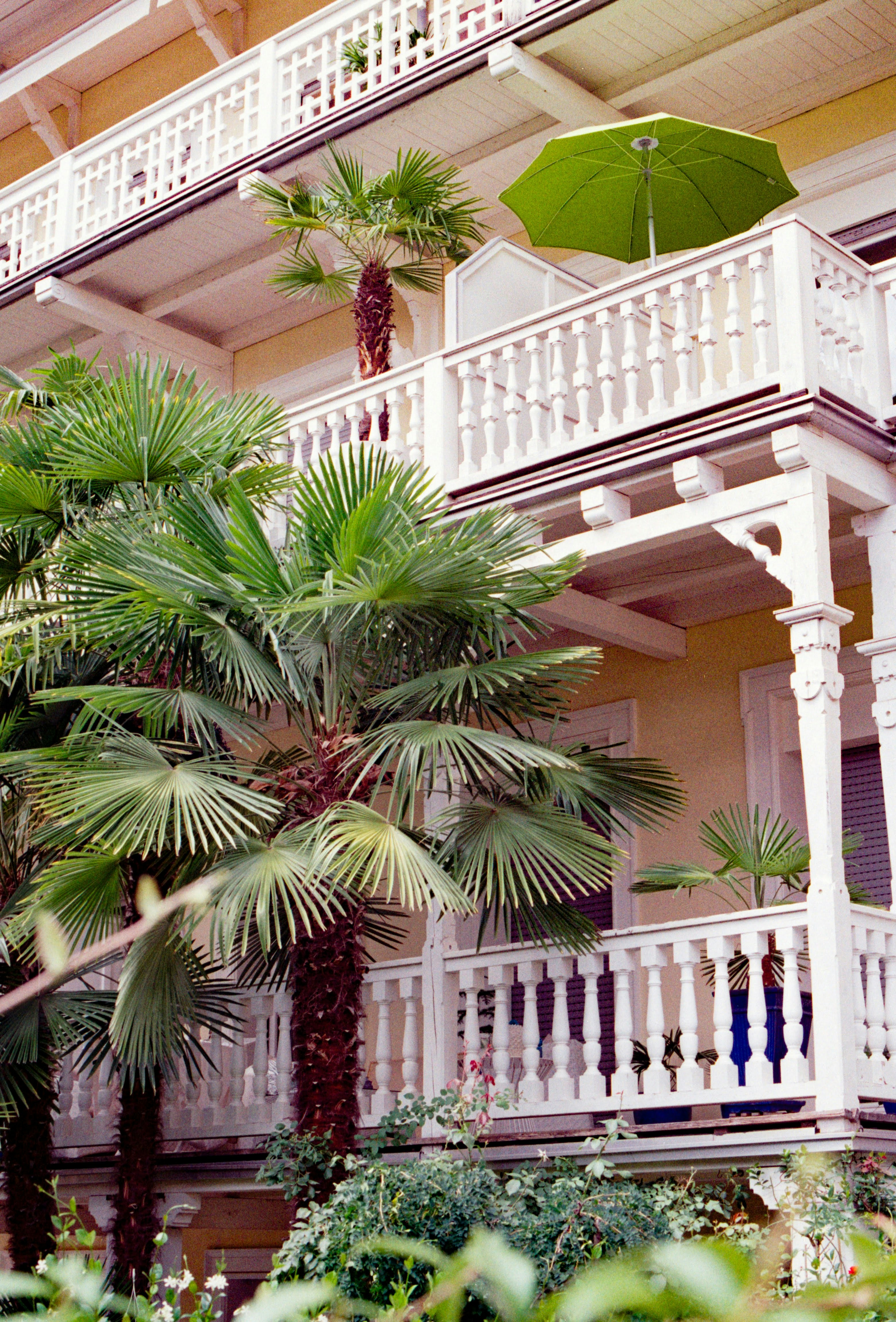 6 Eco-Friendly Charleston Vacation Rentals