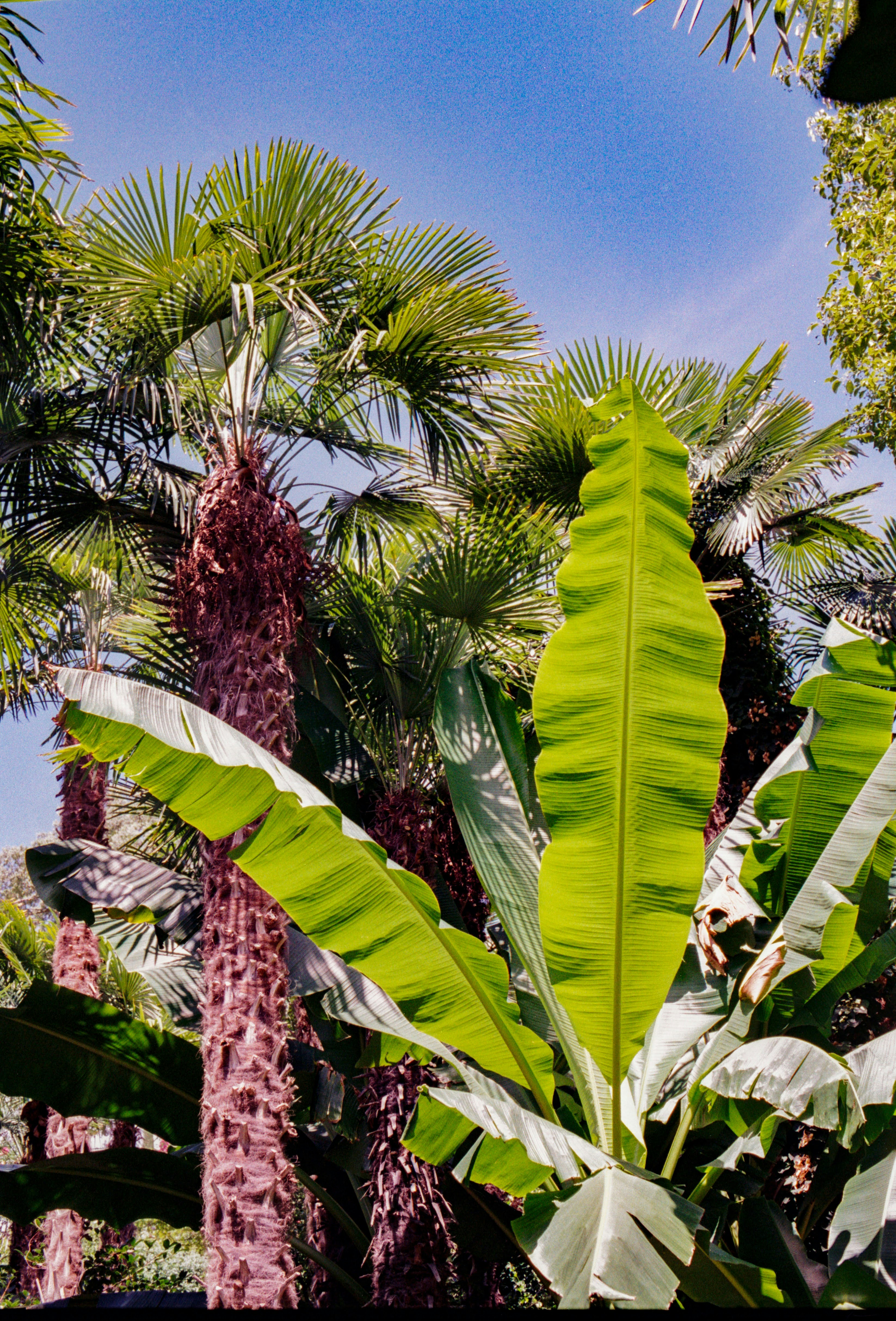 Photo by chrisvomradio