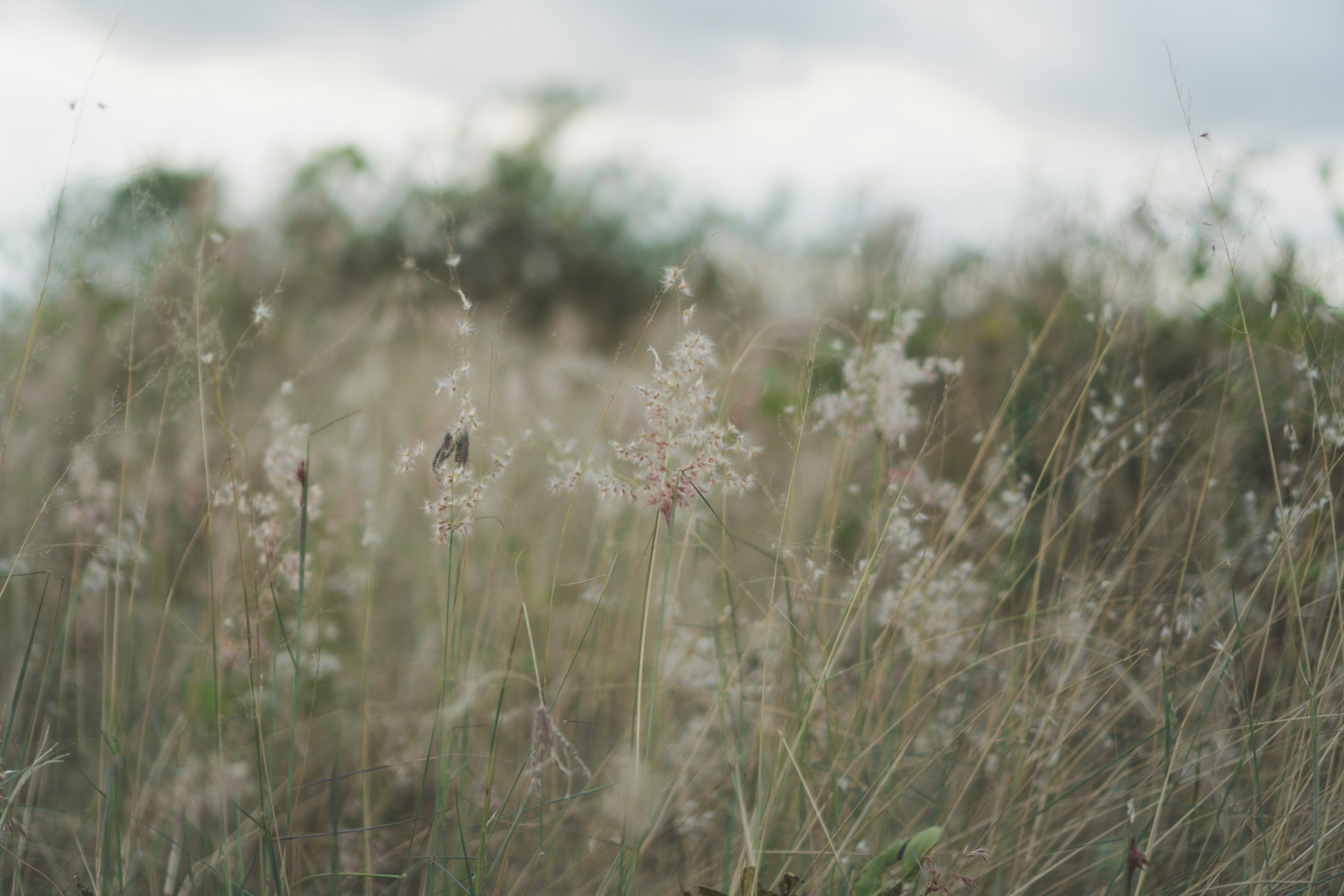 Photo by putridamayanti