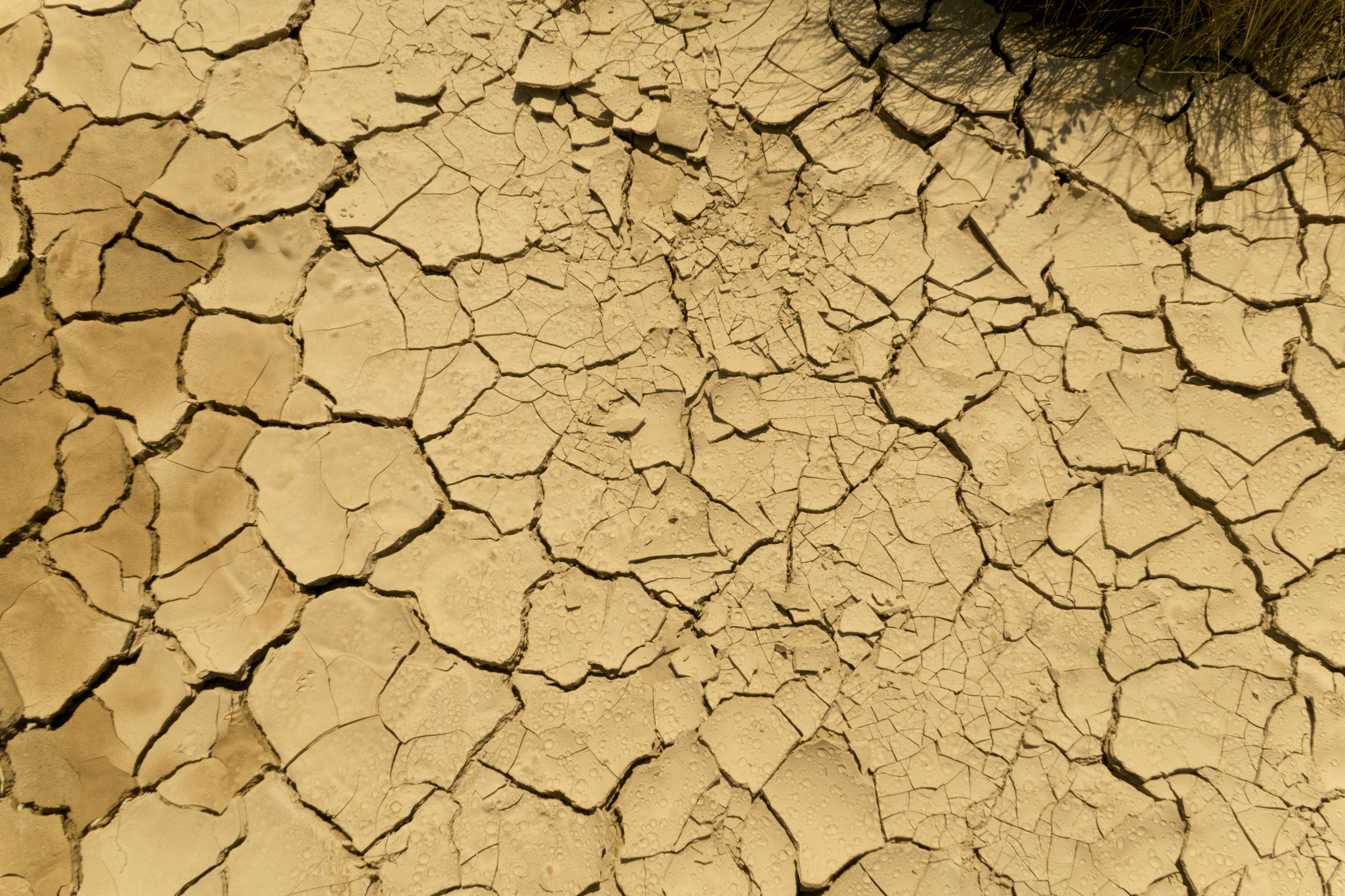 Photo by albacalbeto