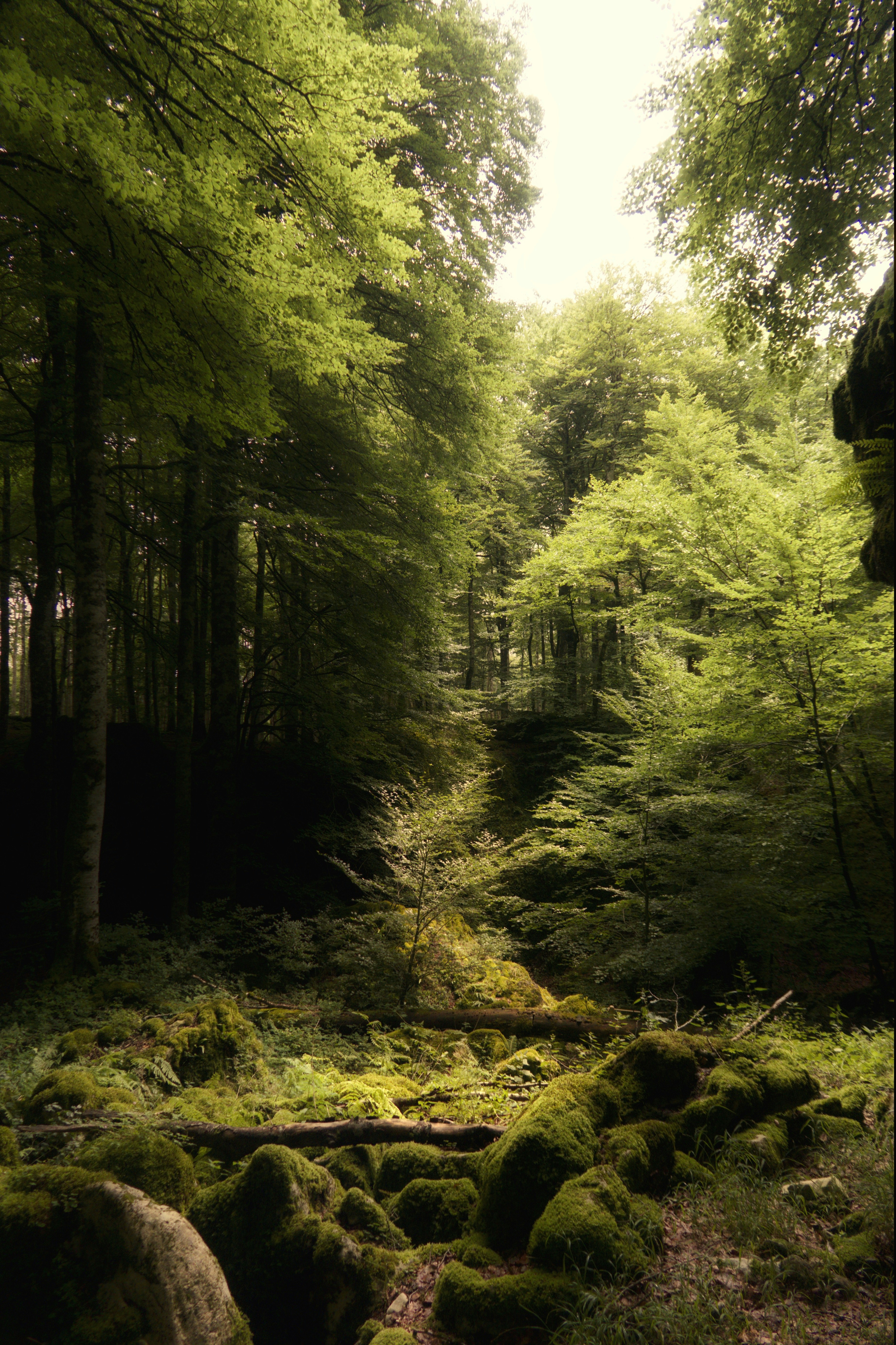 Photo by albacalbeto