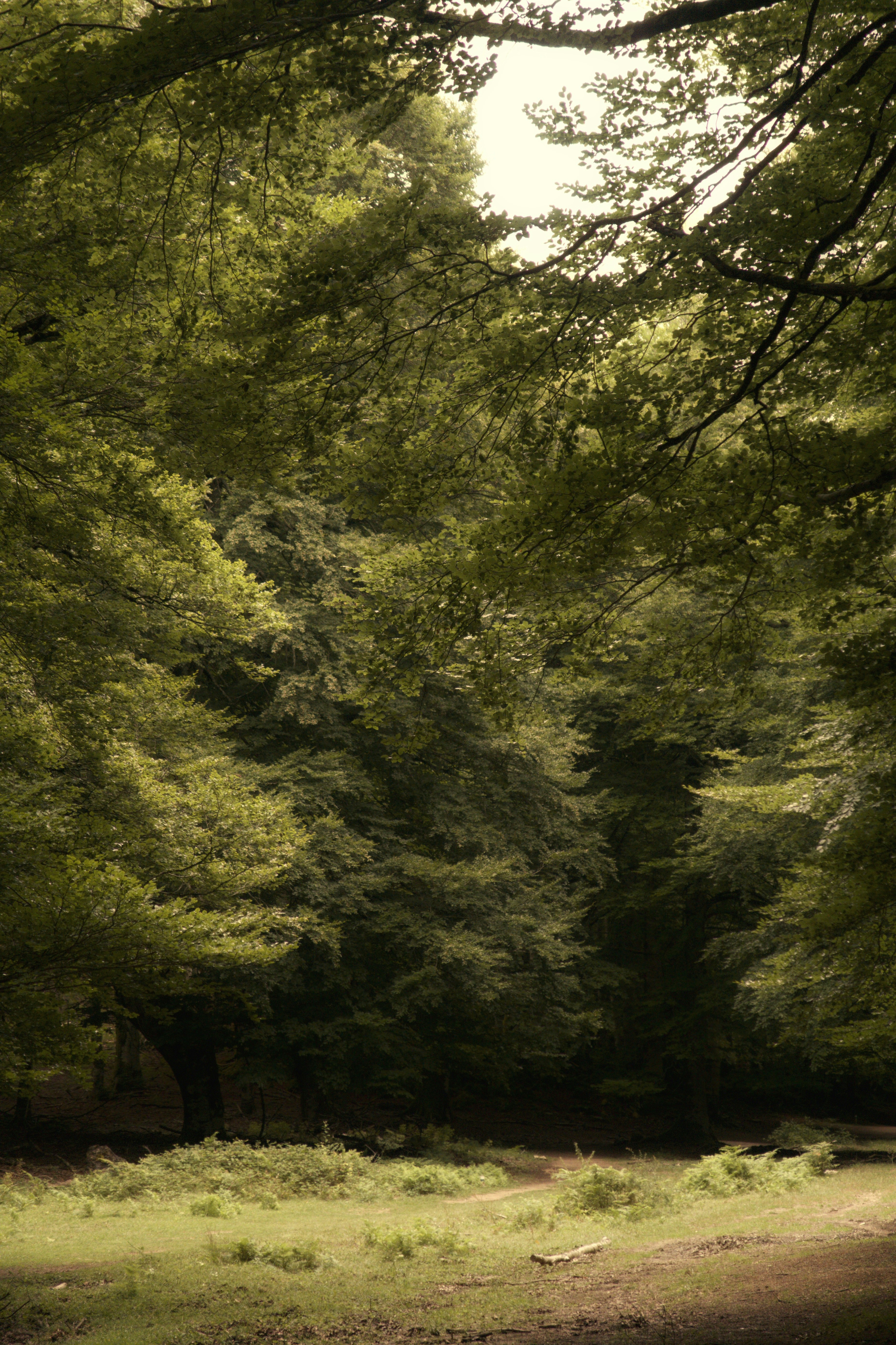 Photo by albacalbeto