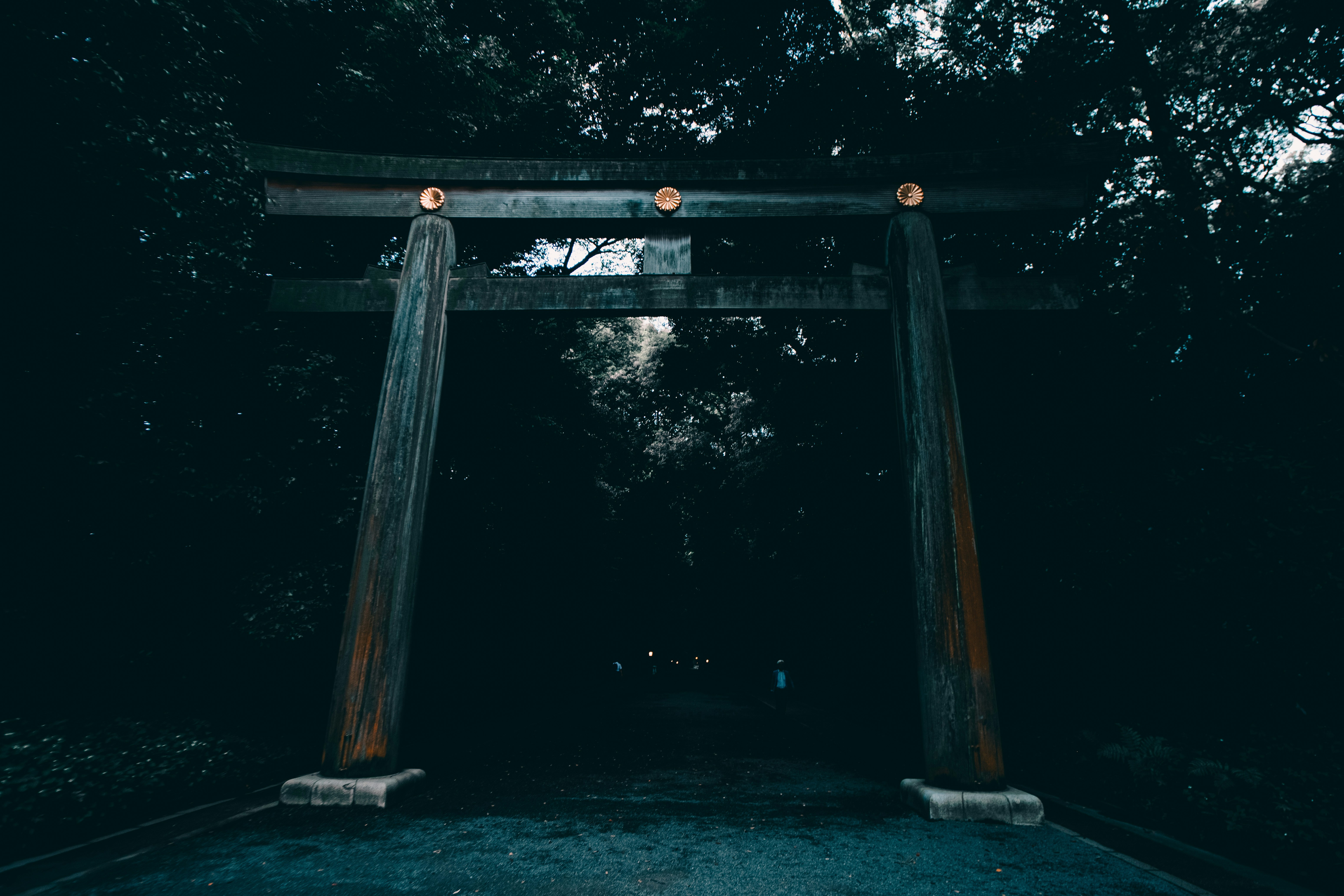 Photo by taku_yanagida