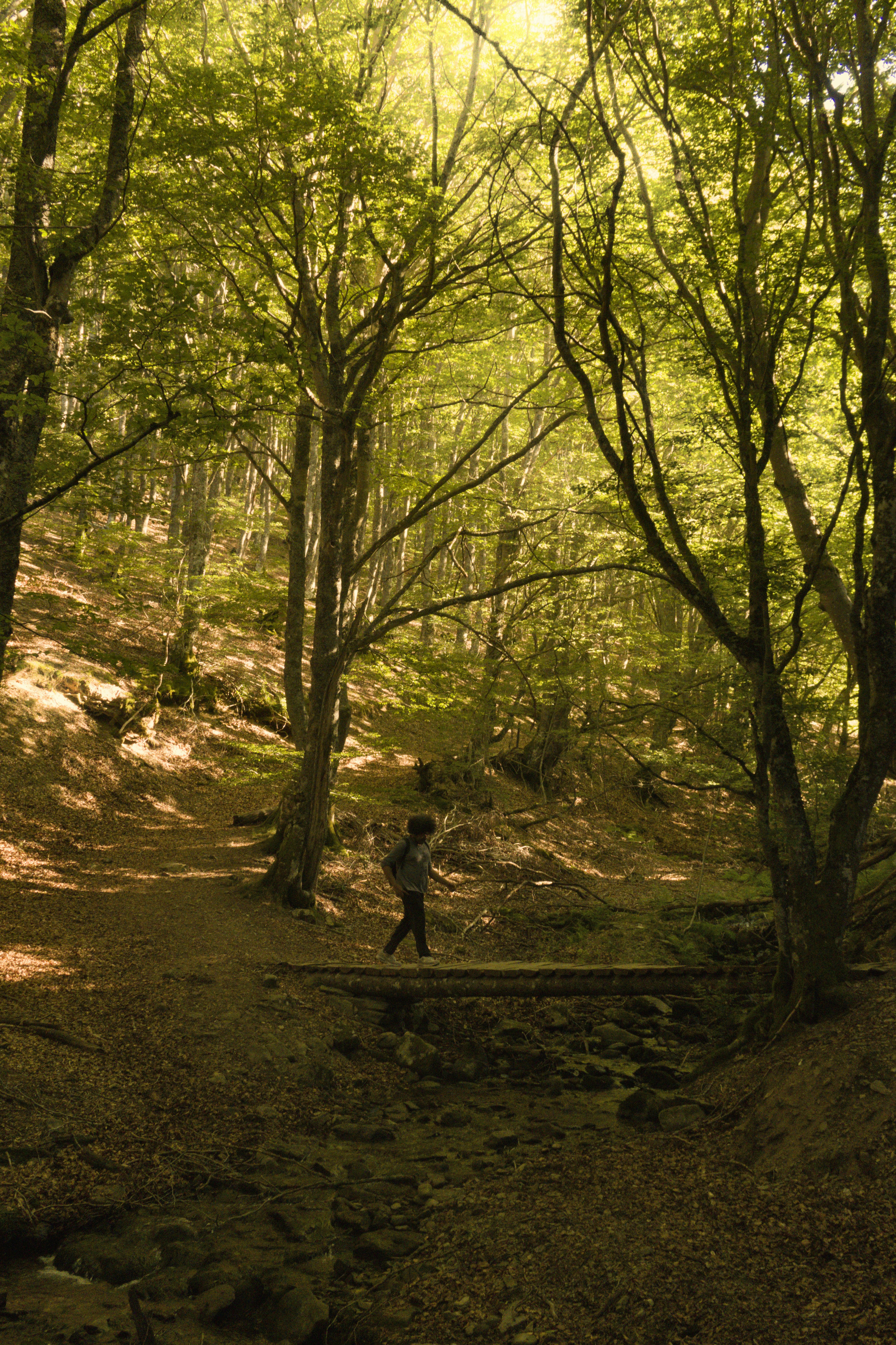 Photo by albacalbeto