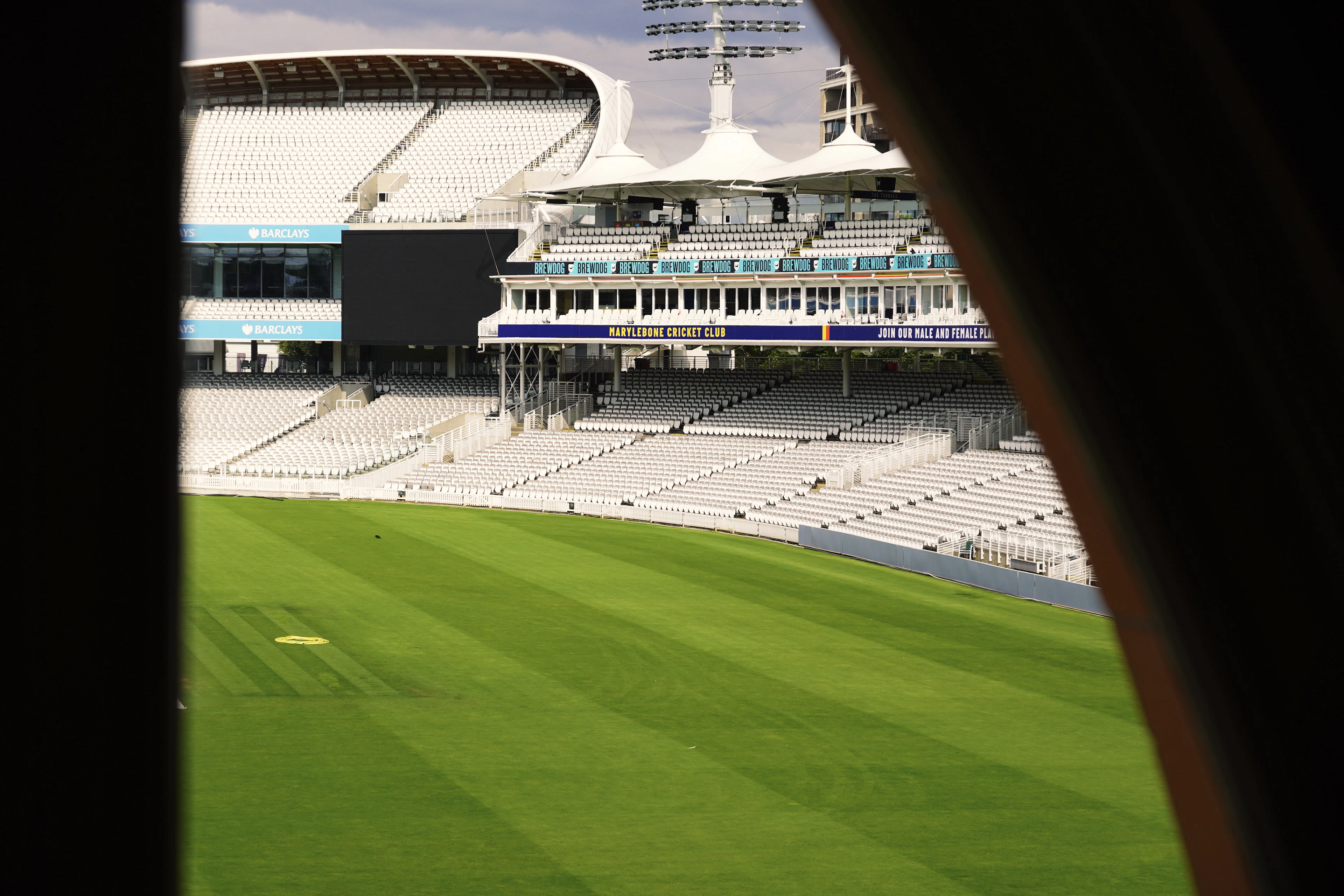 Empty cricket stadium with a lush green outfield and stands