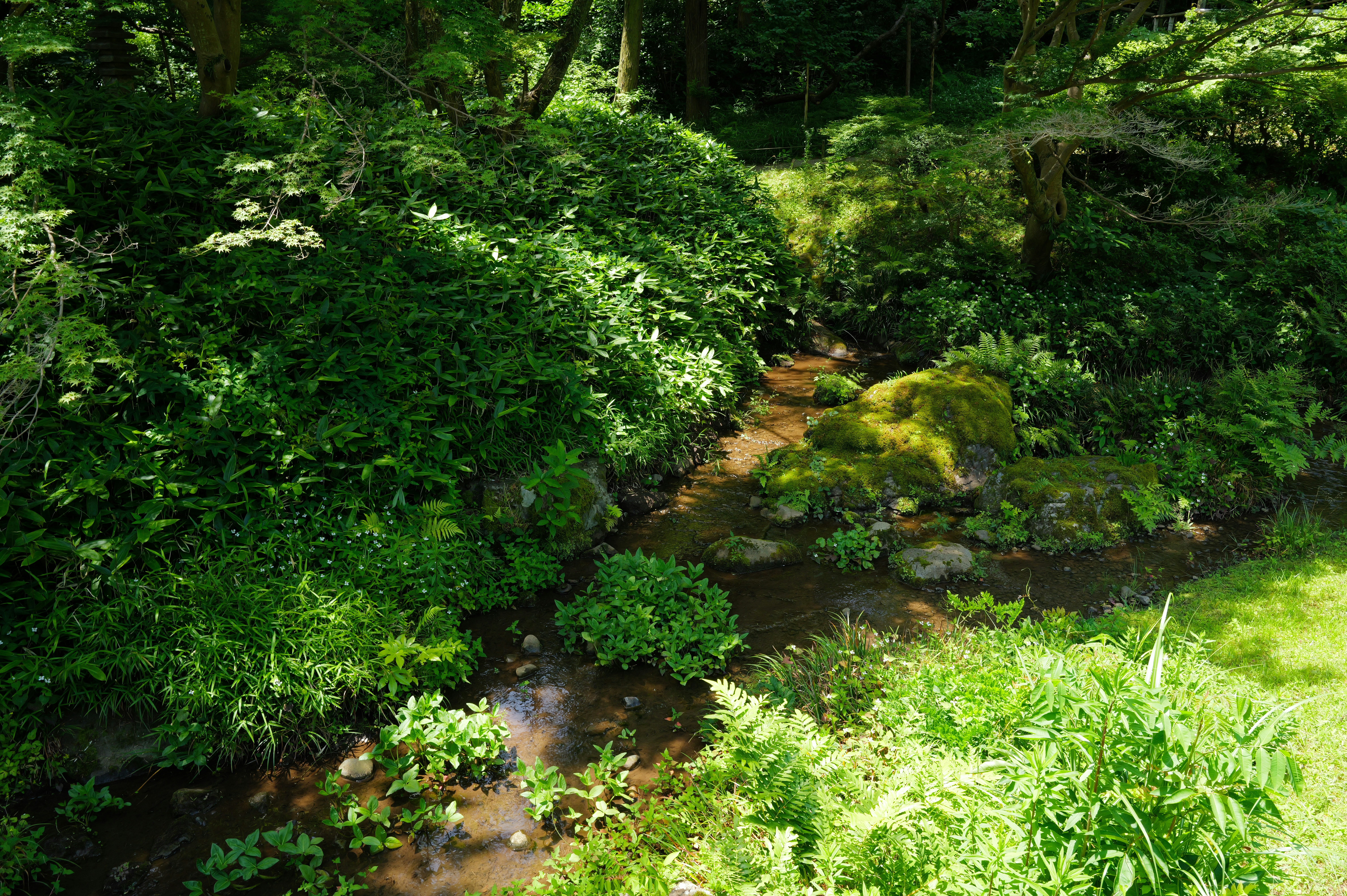 Photo by soflightsto