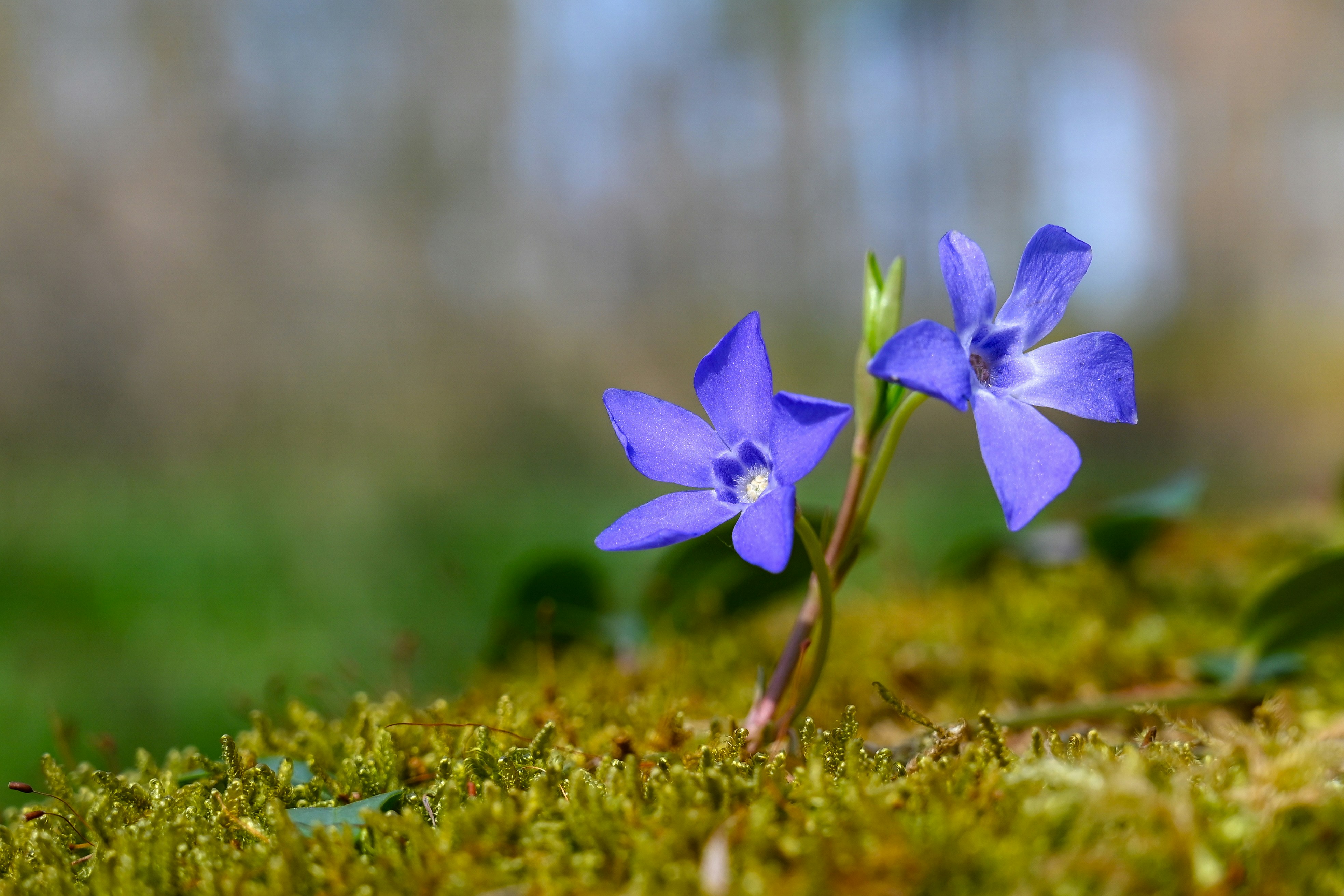 Photo by ad_sportfotograf