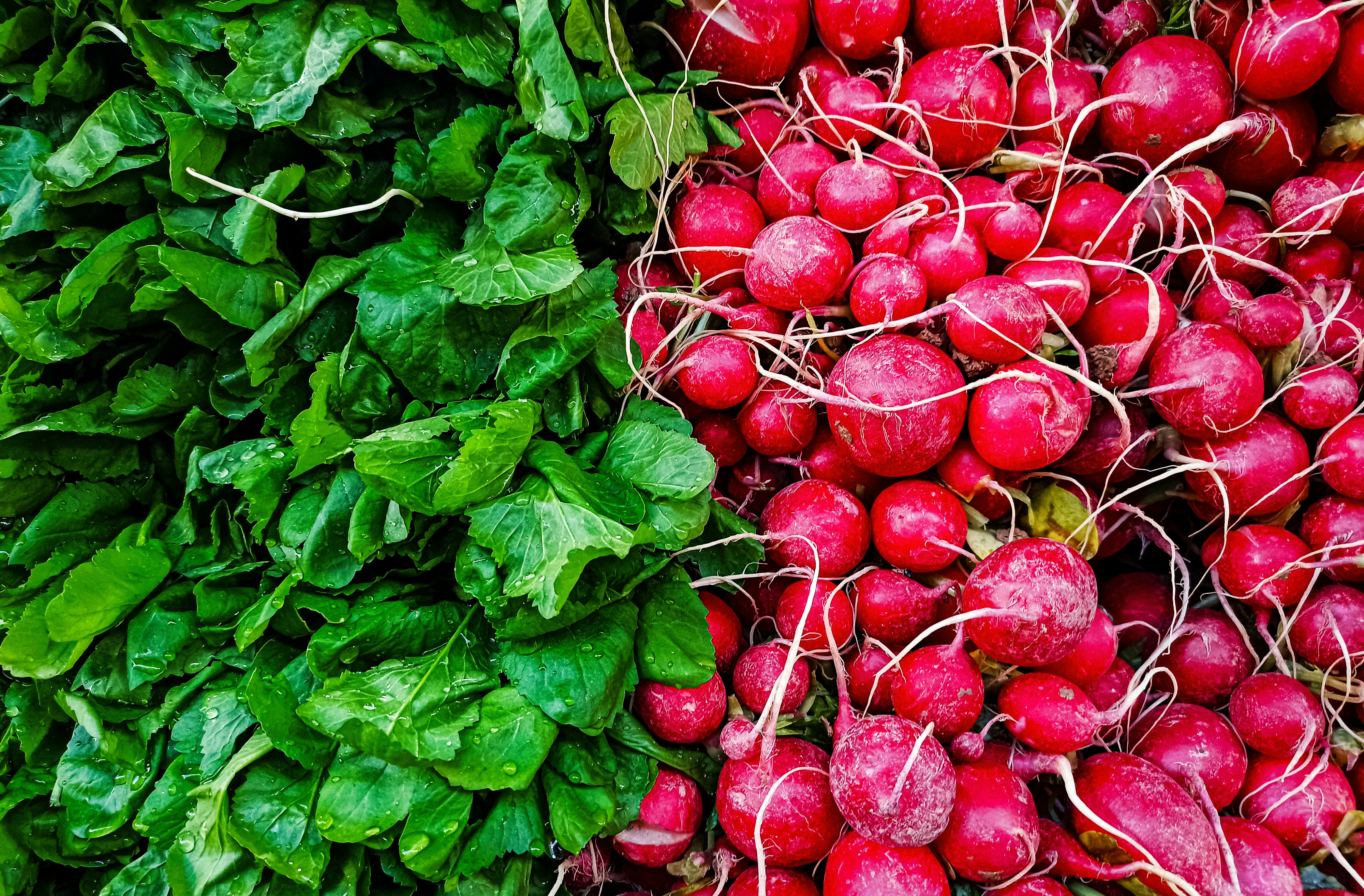 Photo by rashedpaykary