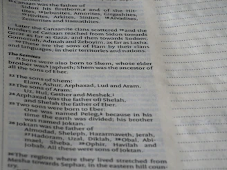 Close-up of text in an old book