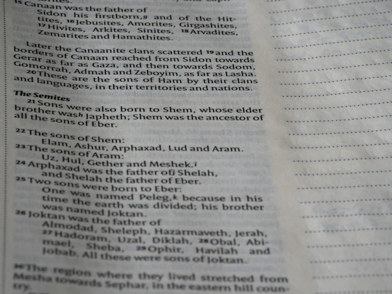 Close-up of text in an old book