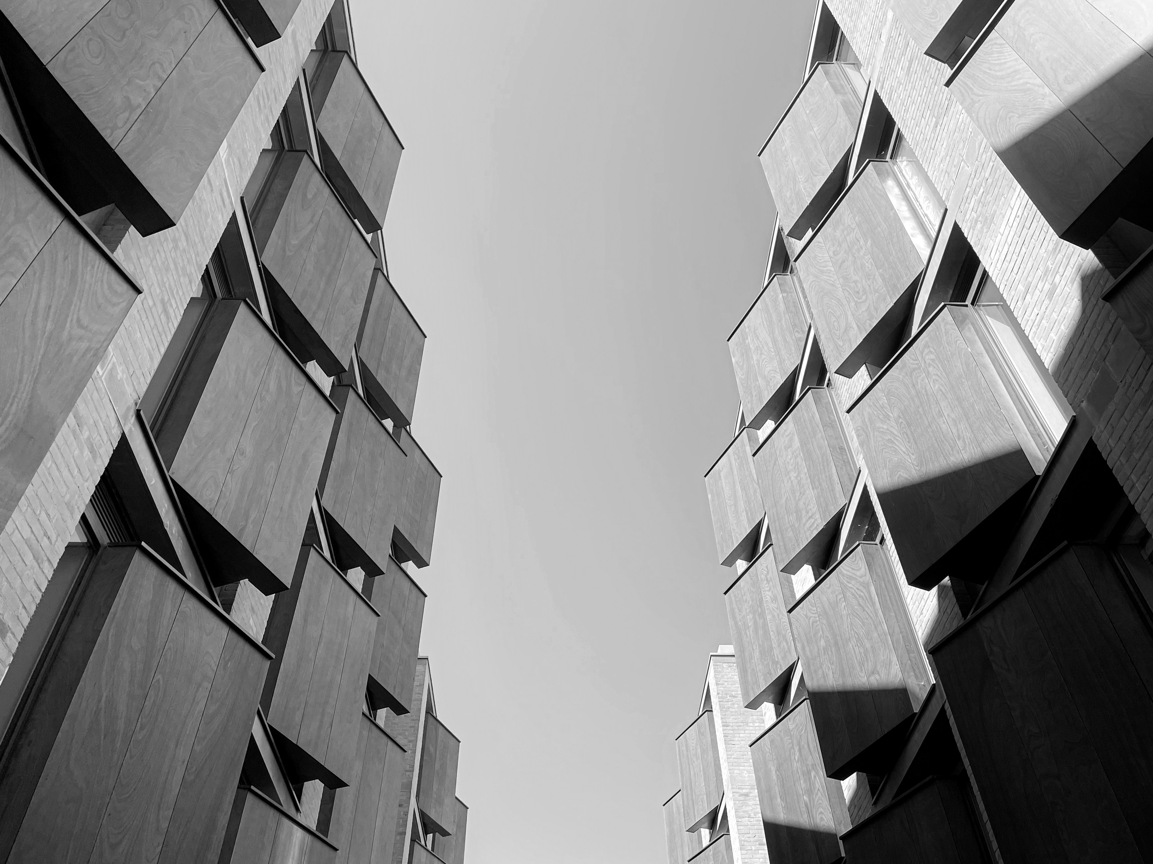 Photo by wooooooooood