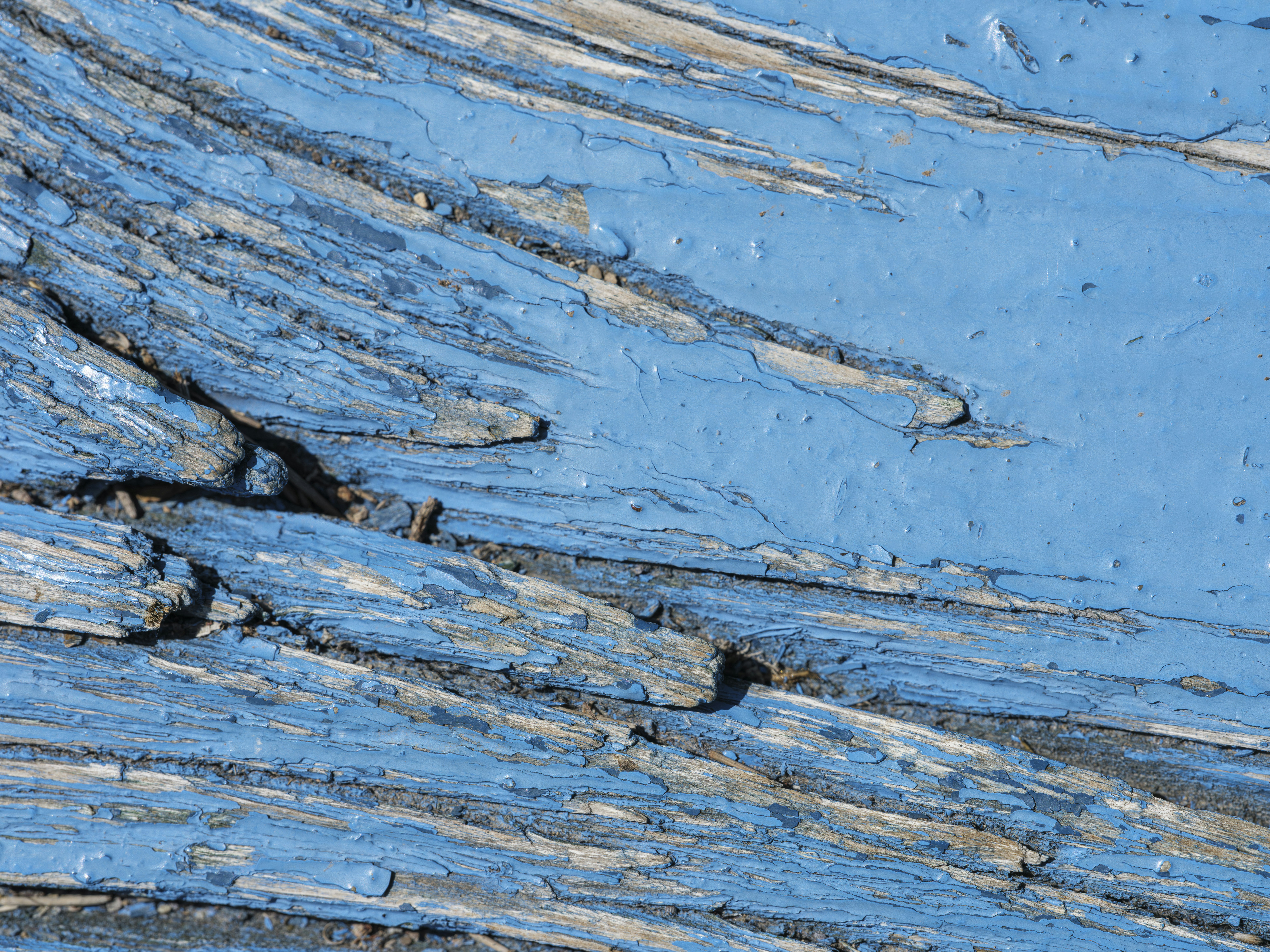 Photo by enginakyurt