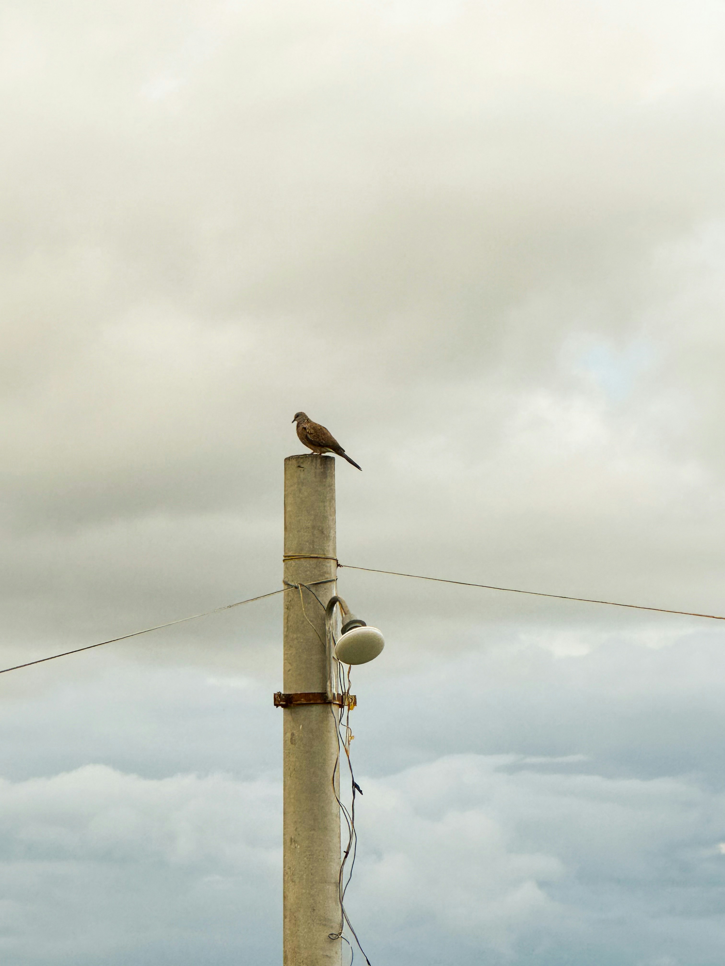 Photo by pineapplexpizza