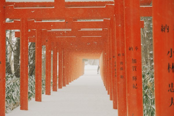 Orange torii gates in a snowy forest path — Sapporo, Japan