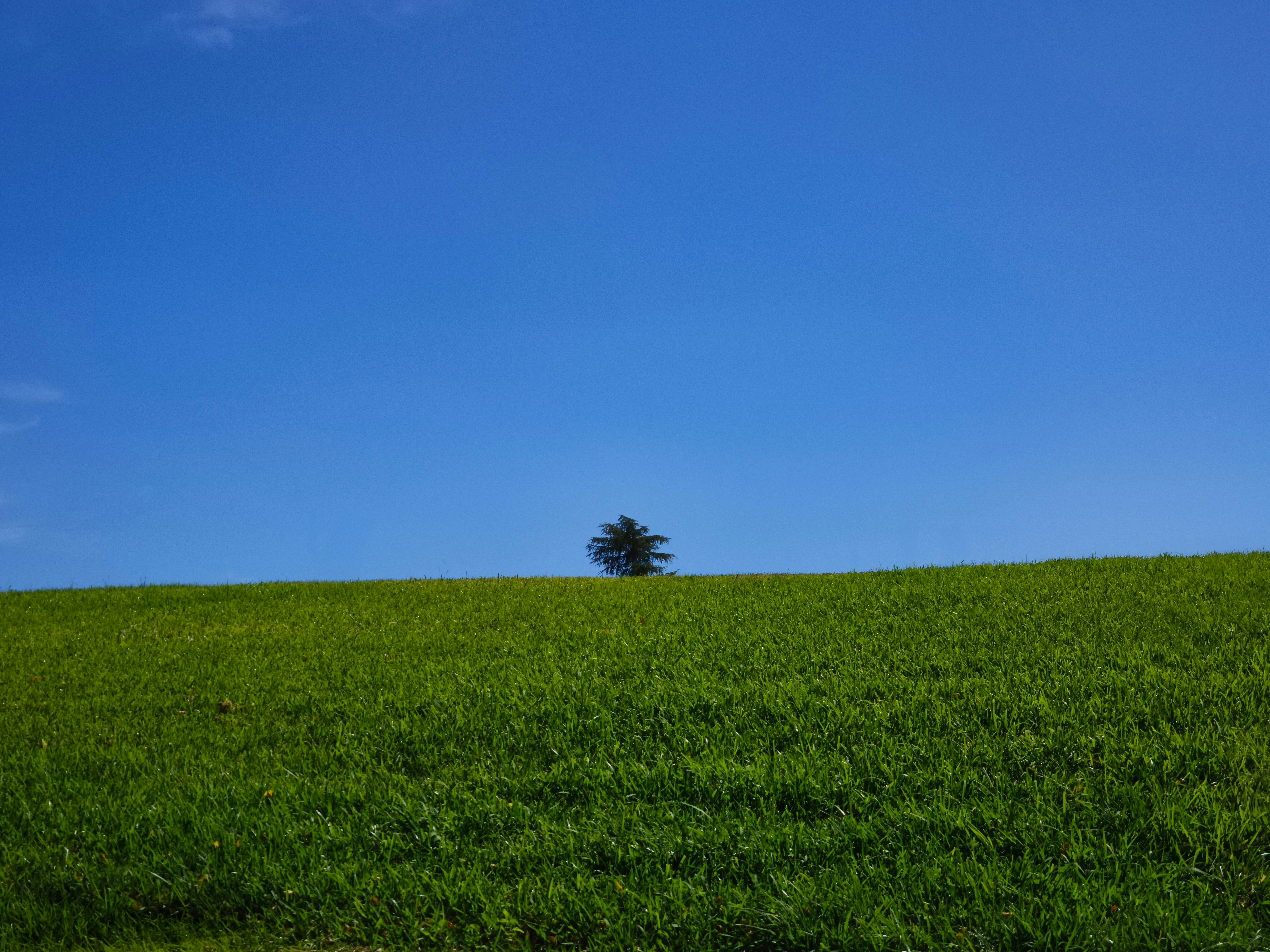 Photo by filipenobre