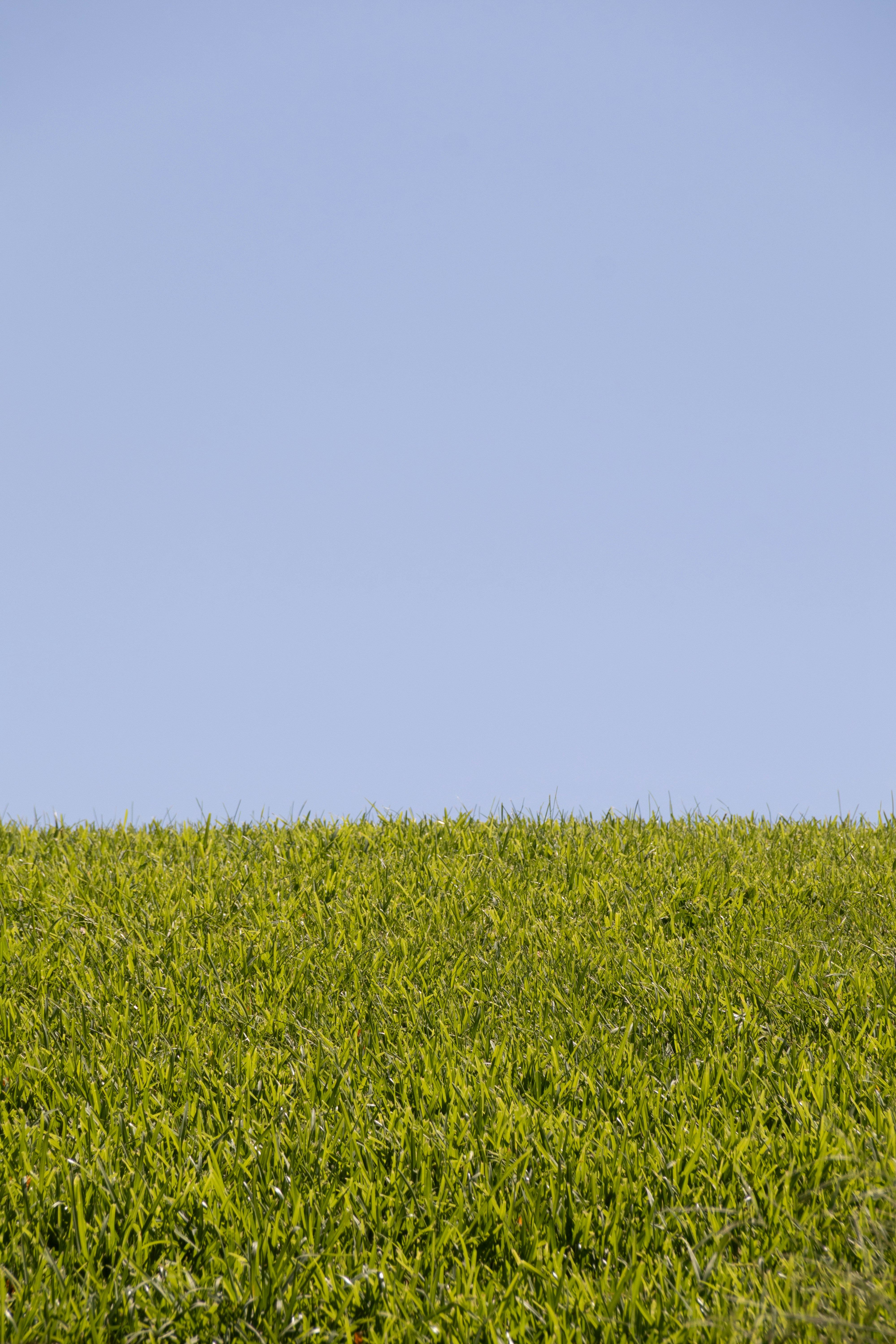 Photo by filipenobre