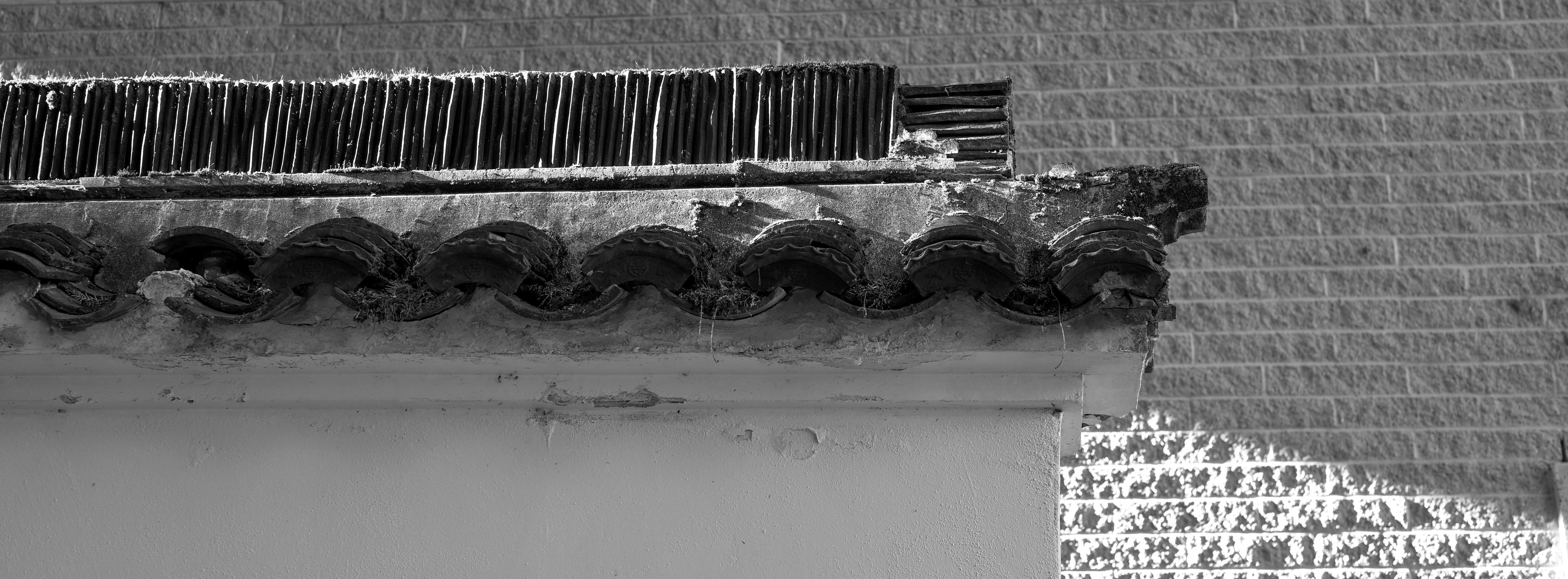 Photo by jonathankslim