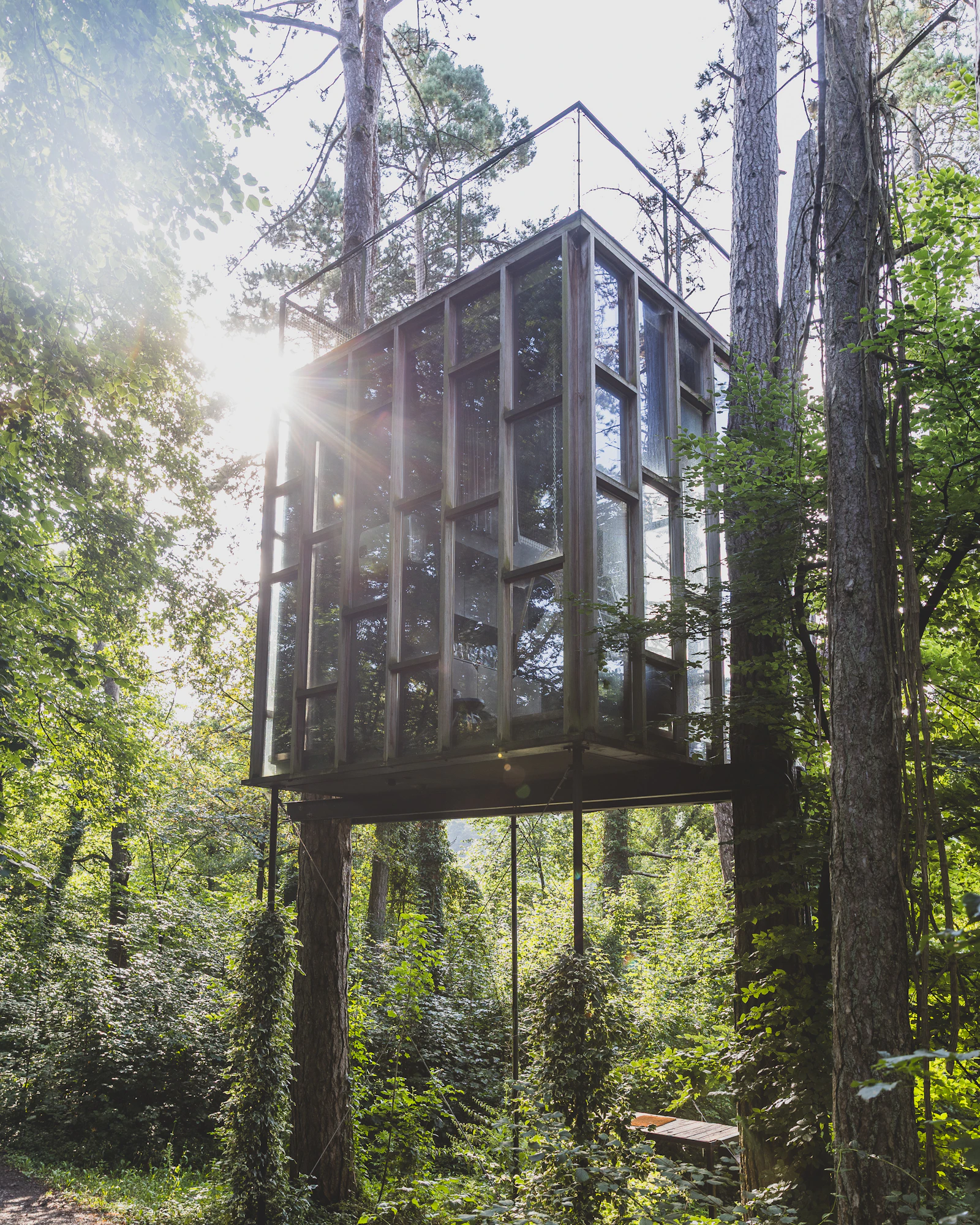 Timber architecture set within a quiet wooded landscape
