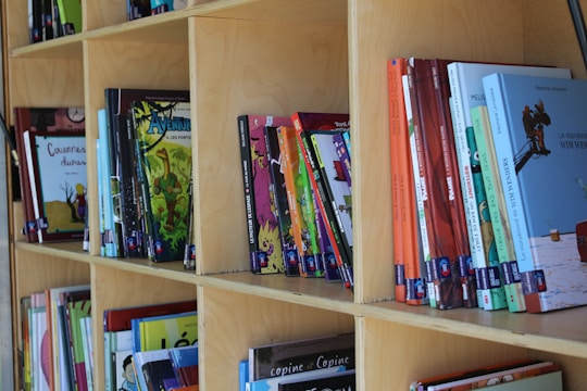 Books arranged on wooden shelves in a library