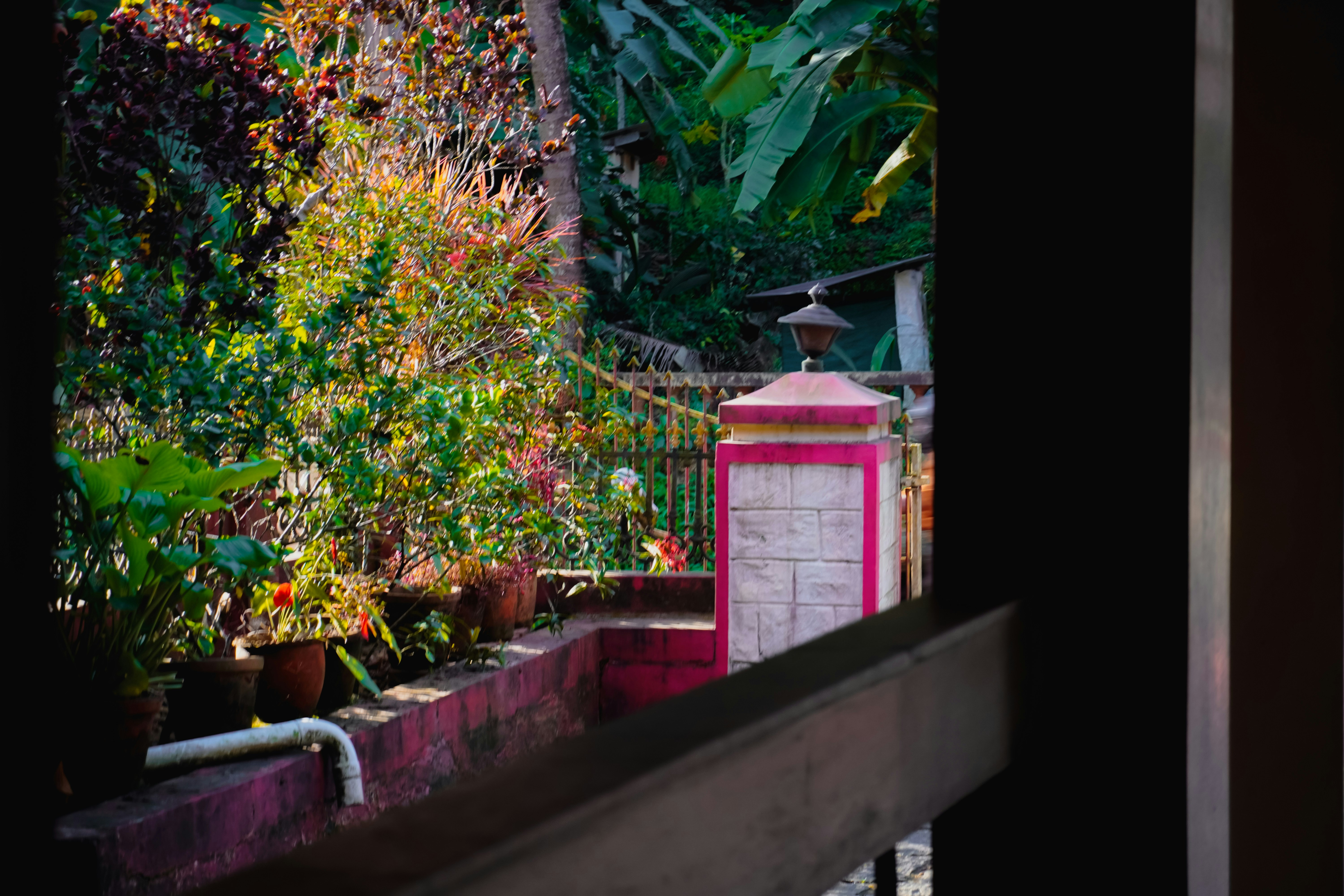Lush garden with potted plants and a pink structure.