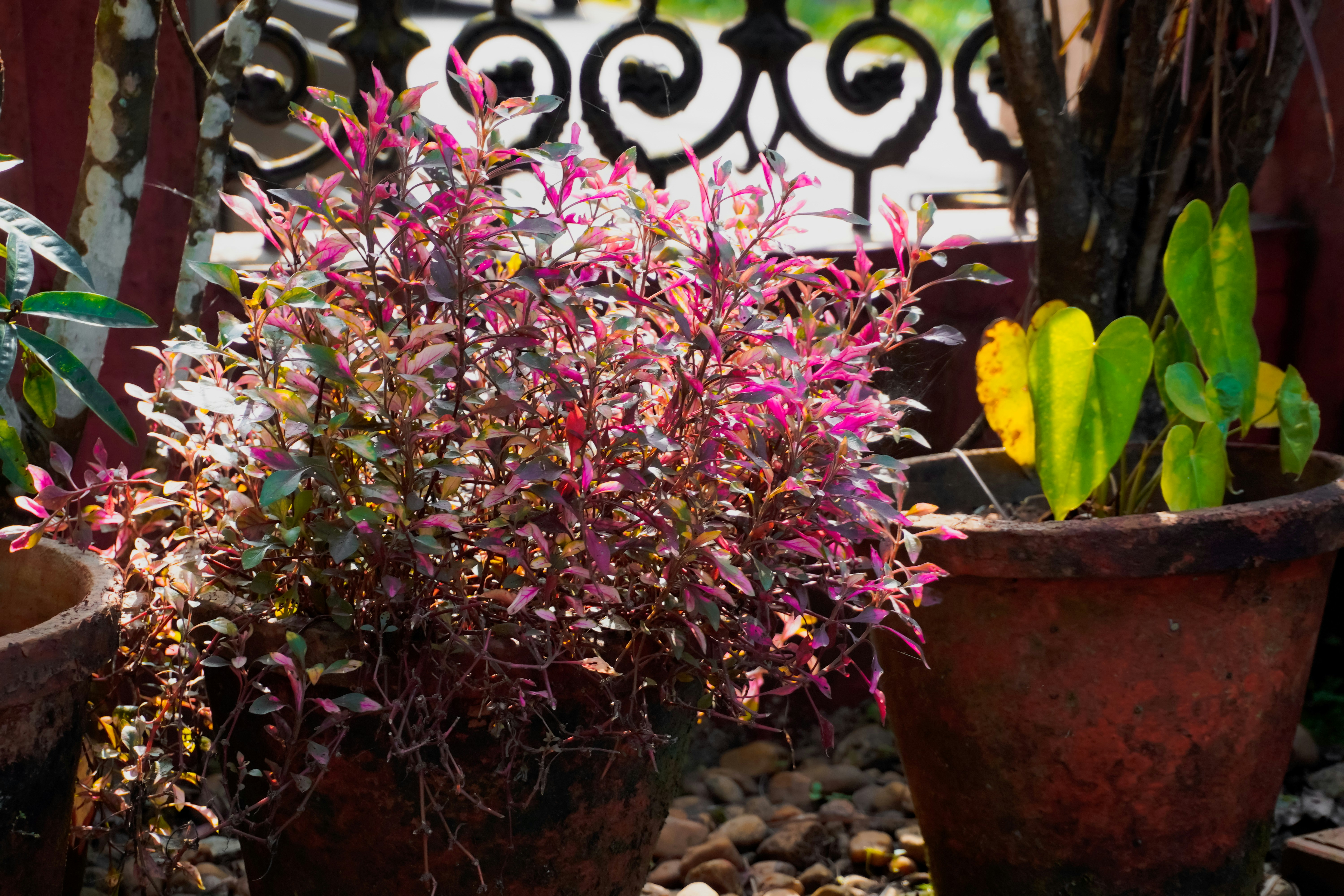 Photo by adhitya_2505