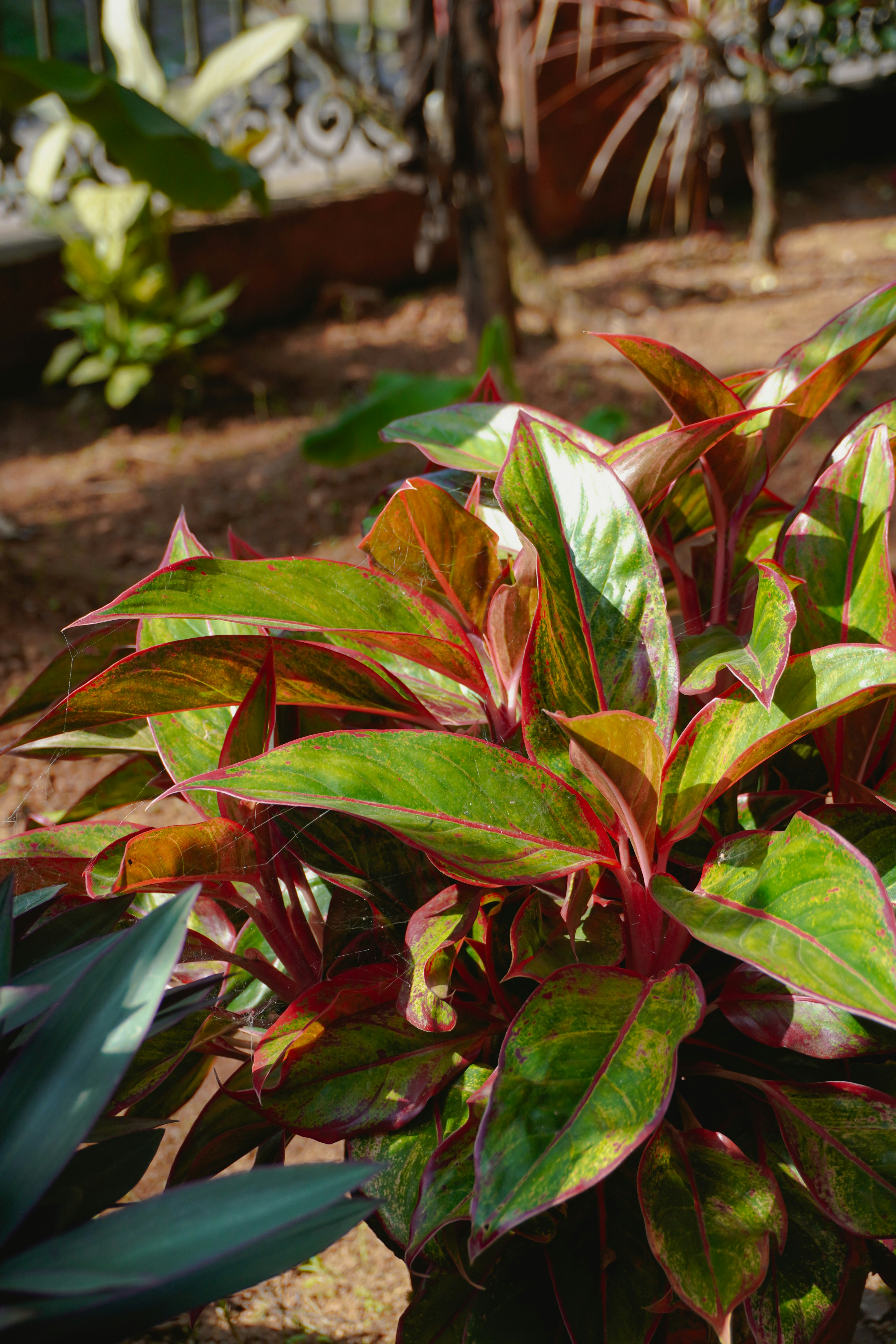 Photo by adhitya_2505