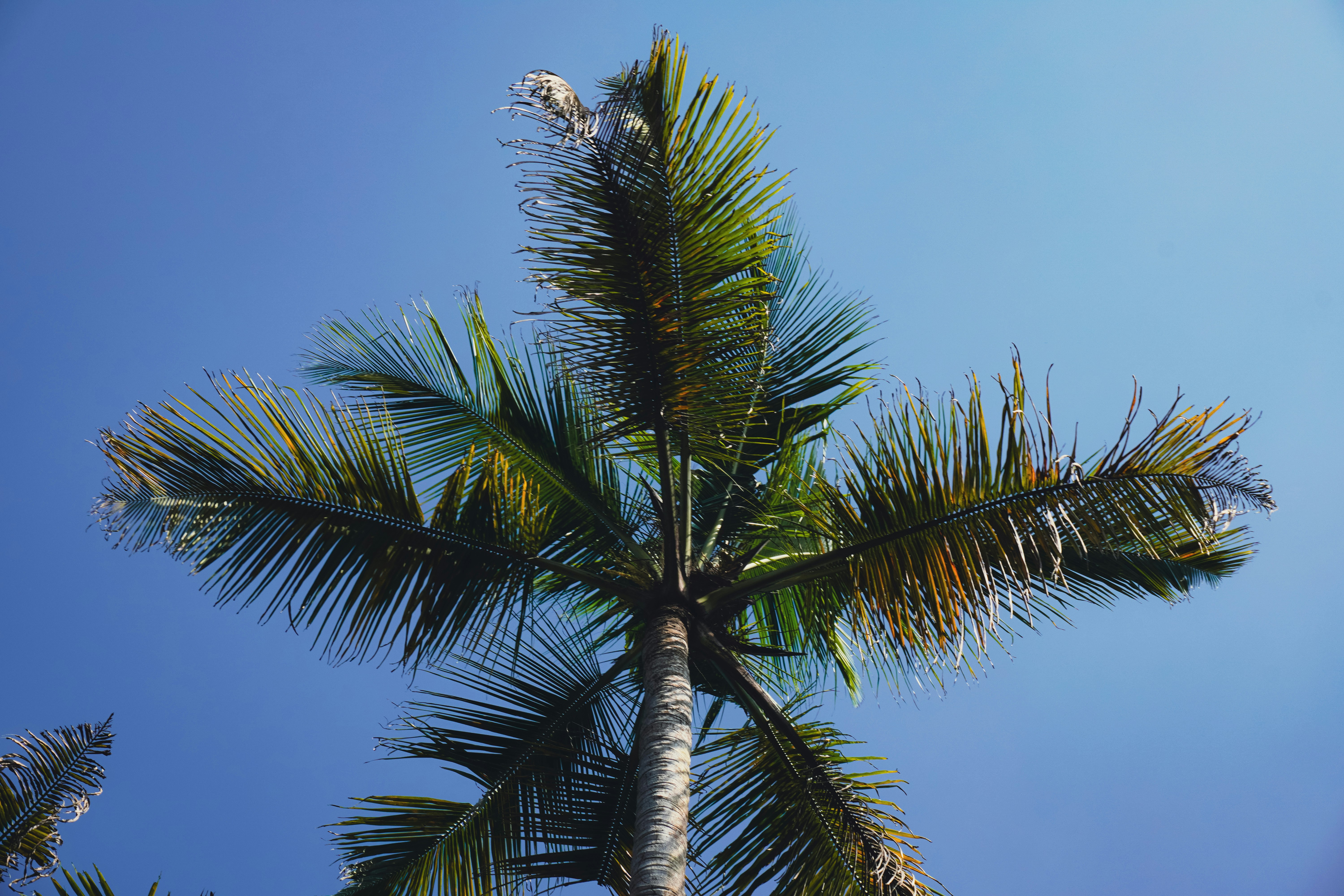 Photo by adhitya_2505