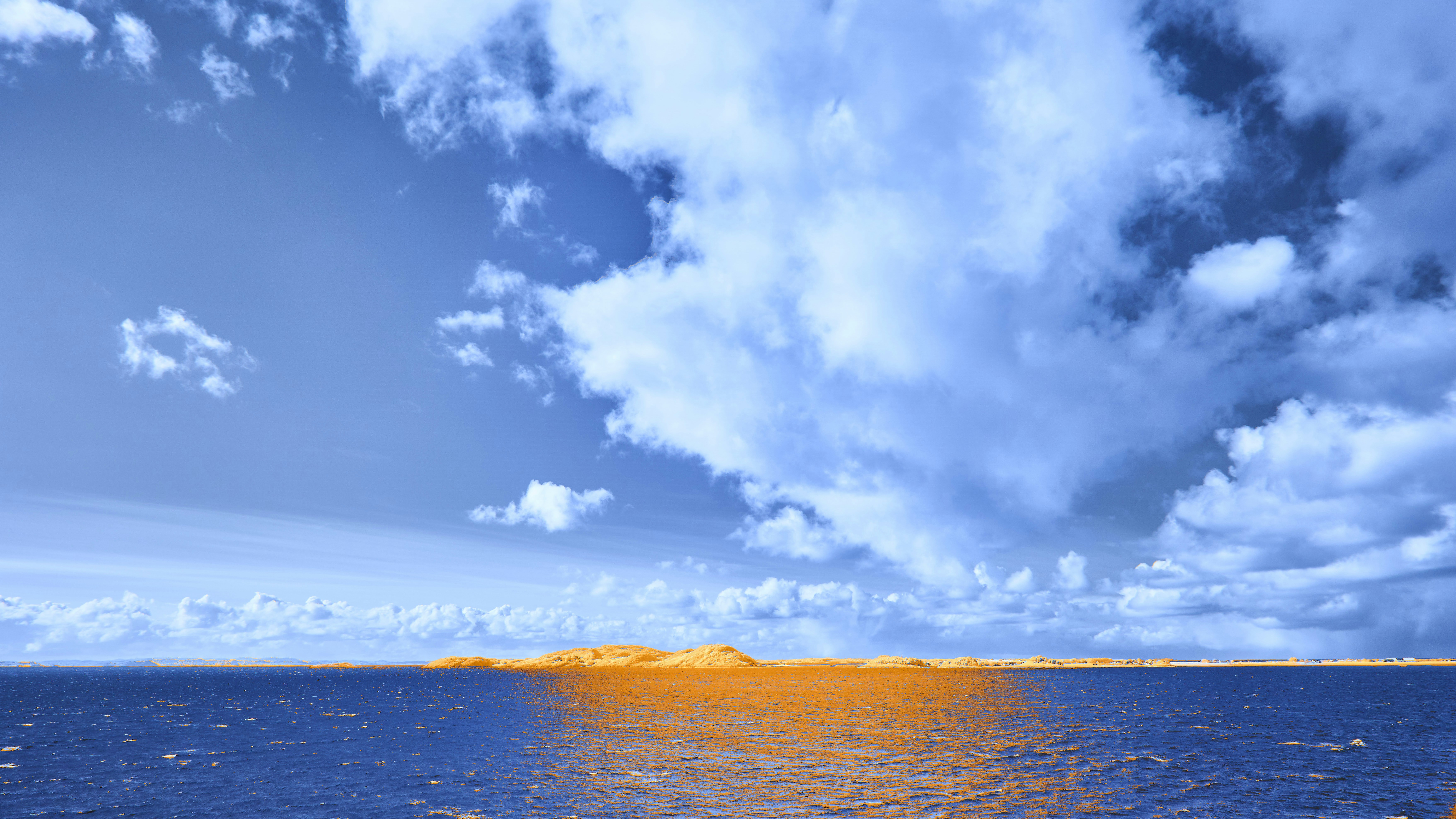 Photo by wolfgang_hasselmann