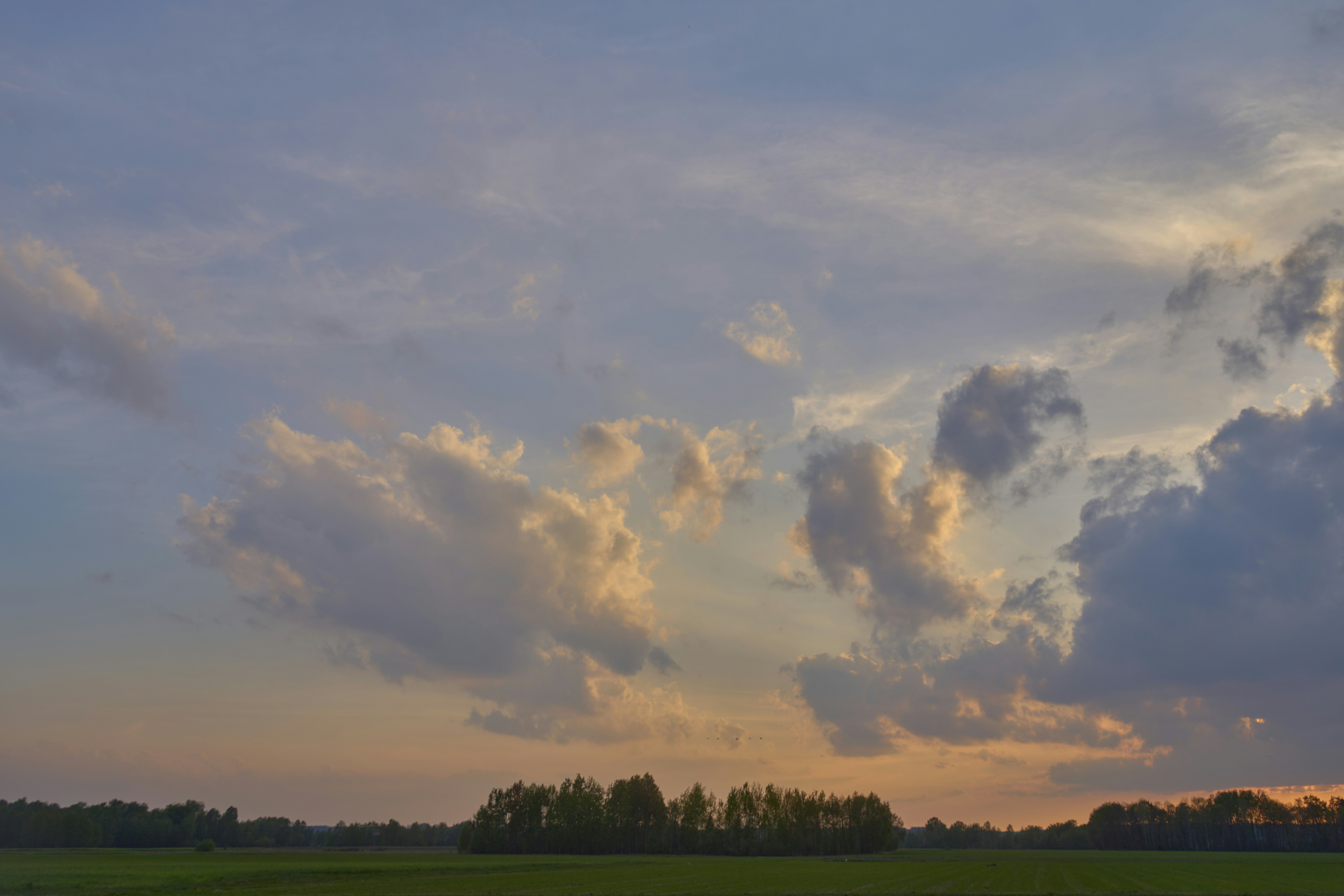 Photo by wolfgang_hasselmann