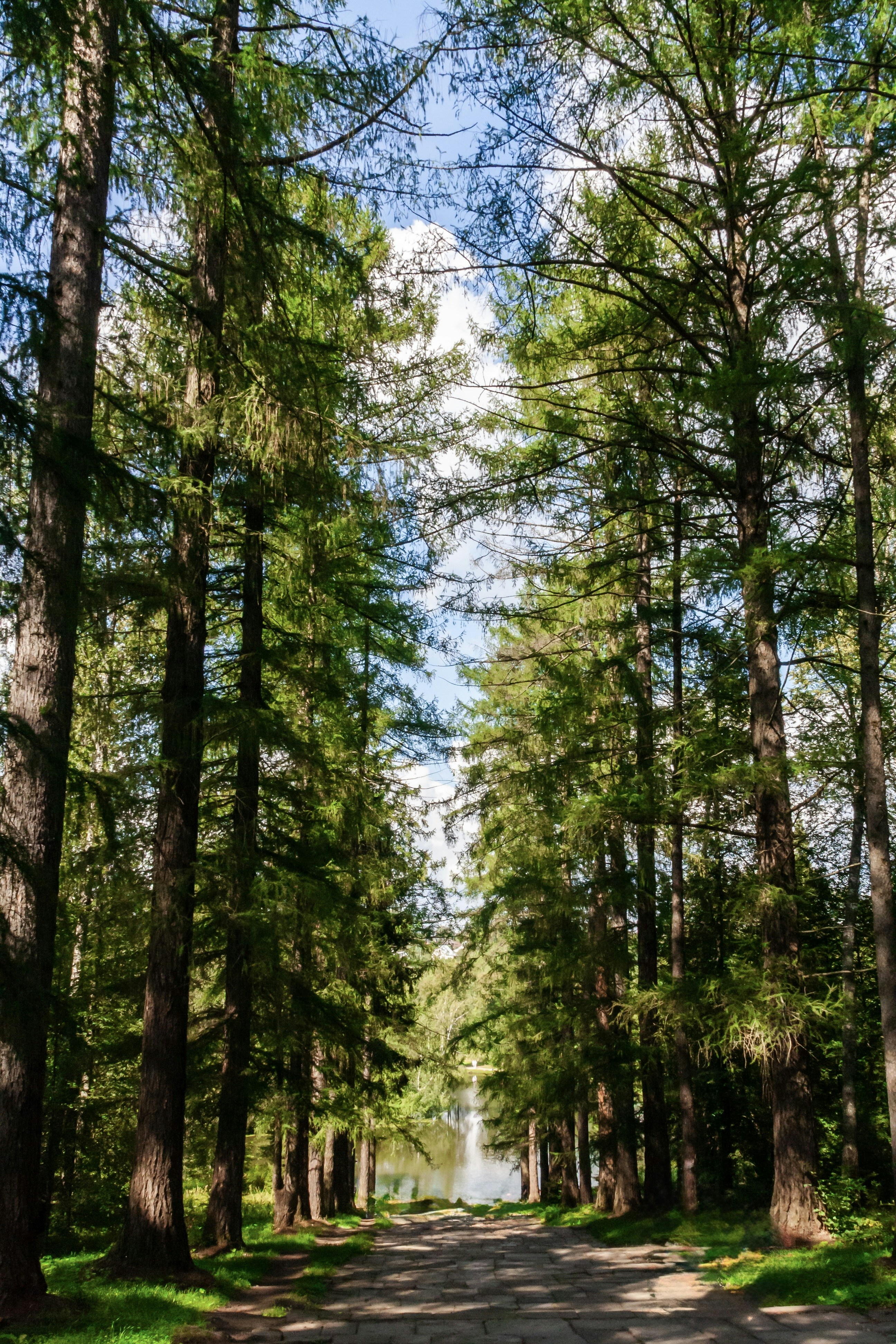 Photo by kulikovnik2