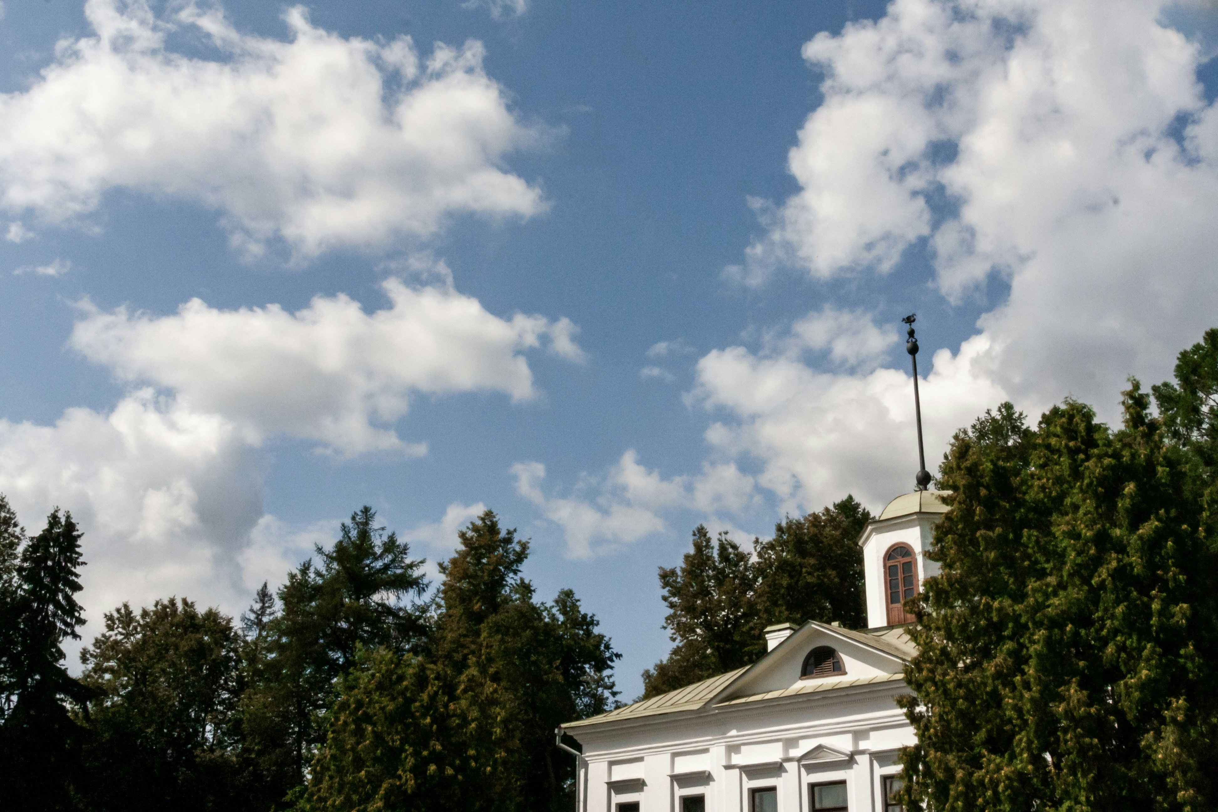 Photo by kulikovnik2