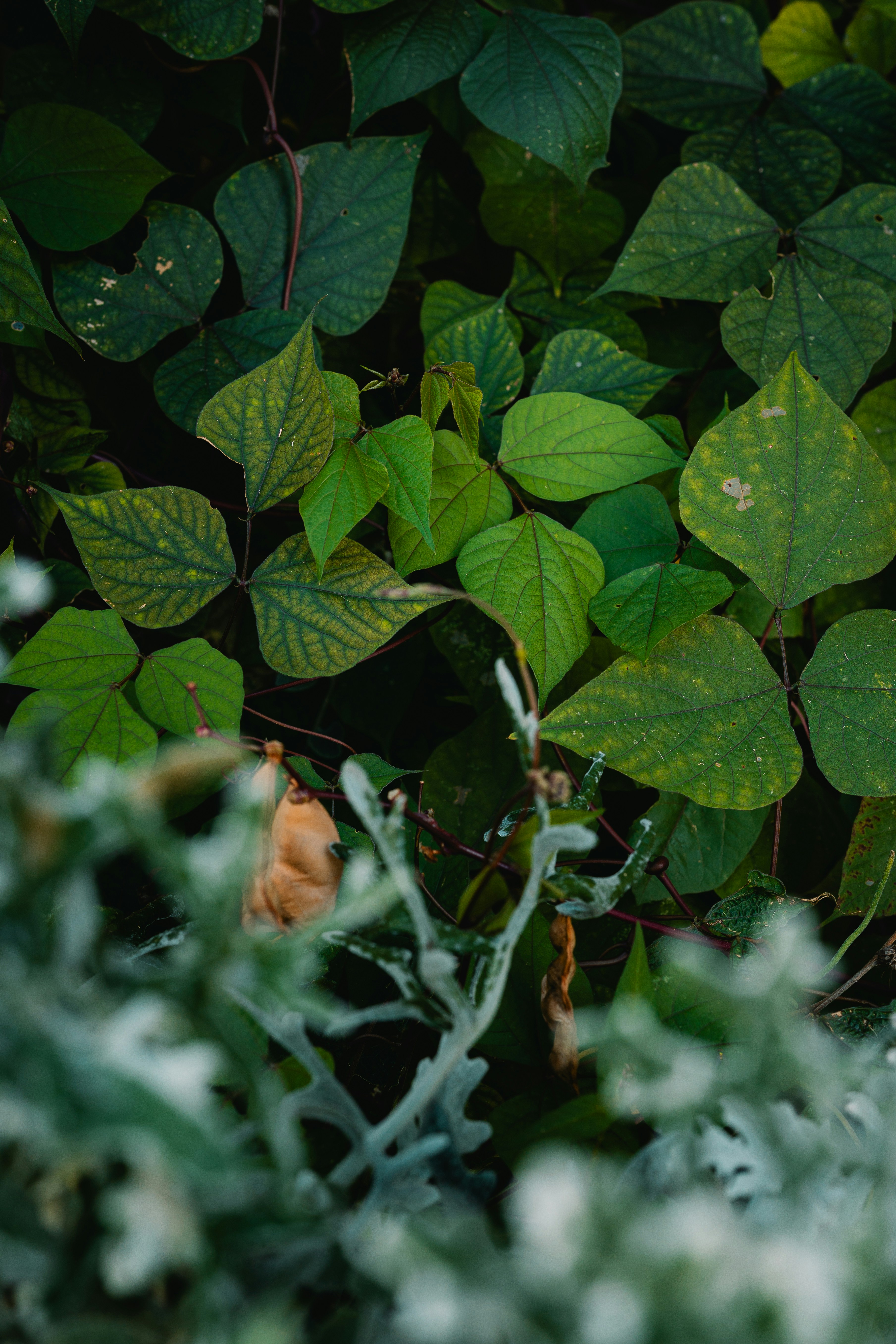 Photo by dhproductions