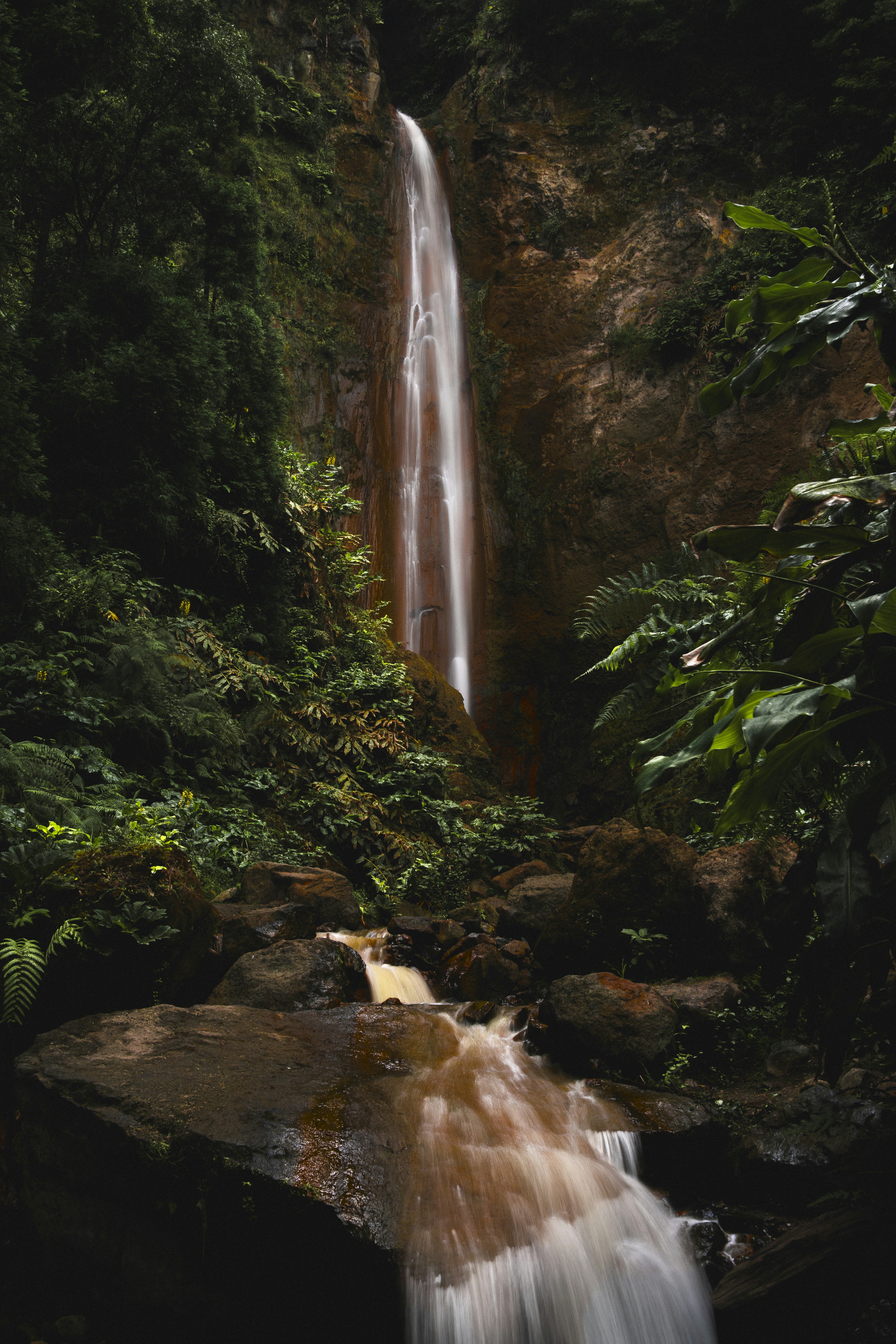 Photo by anastasiatr