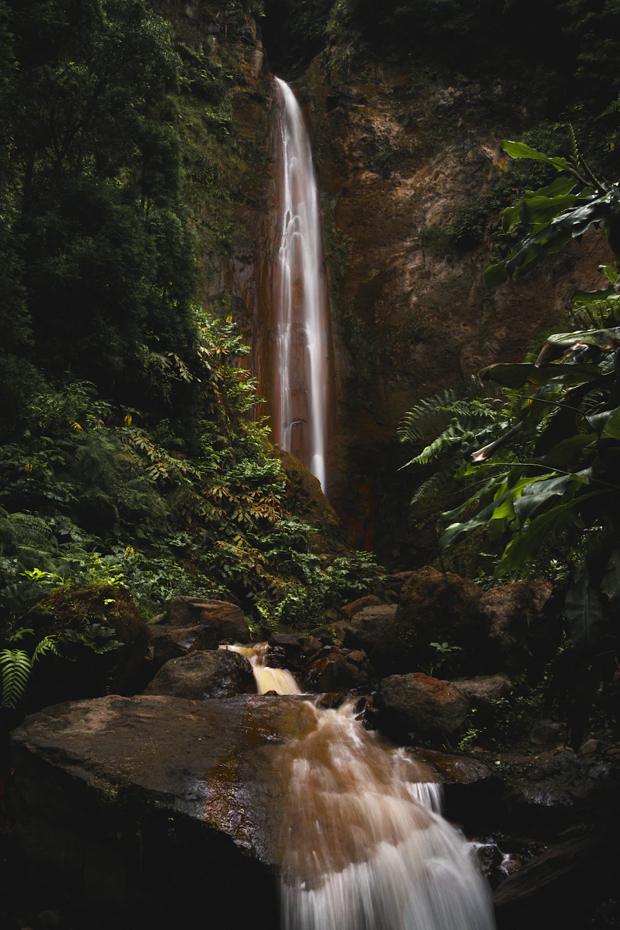 A tall waterfall falling through lush green forest on São Miguel
