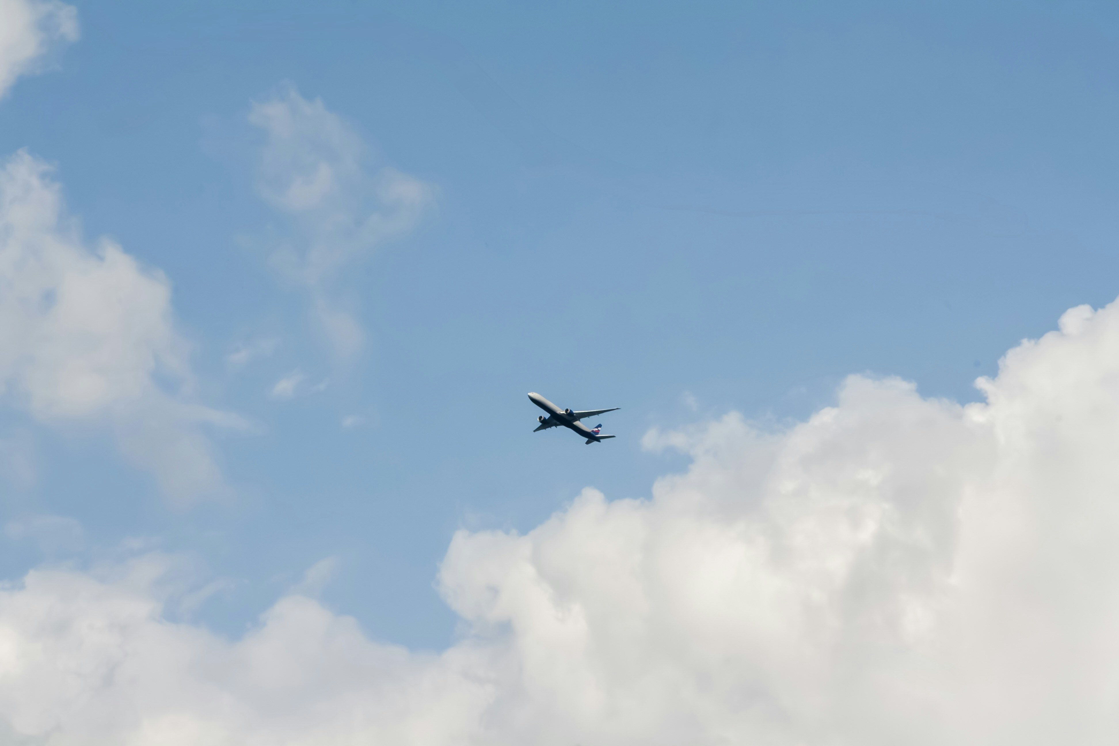 Photo by kulikovnik2