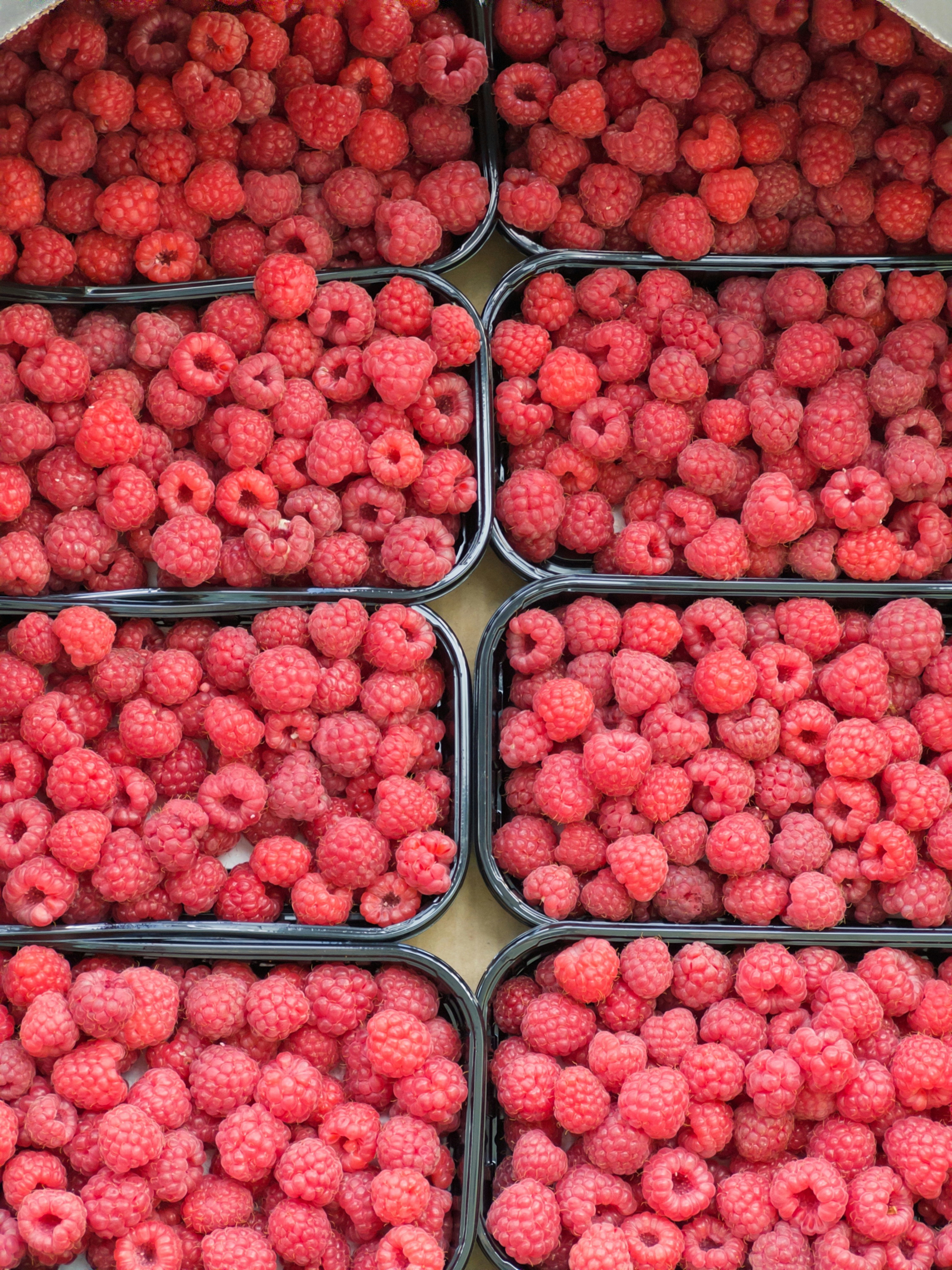 Photo by goldfinch1009