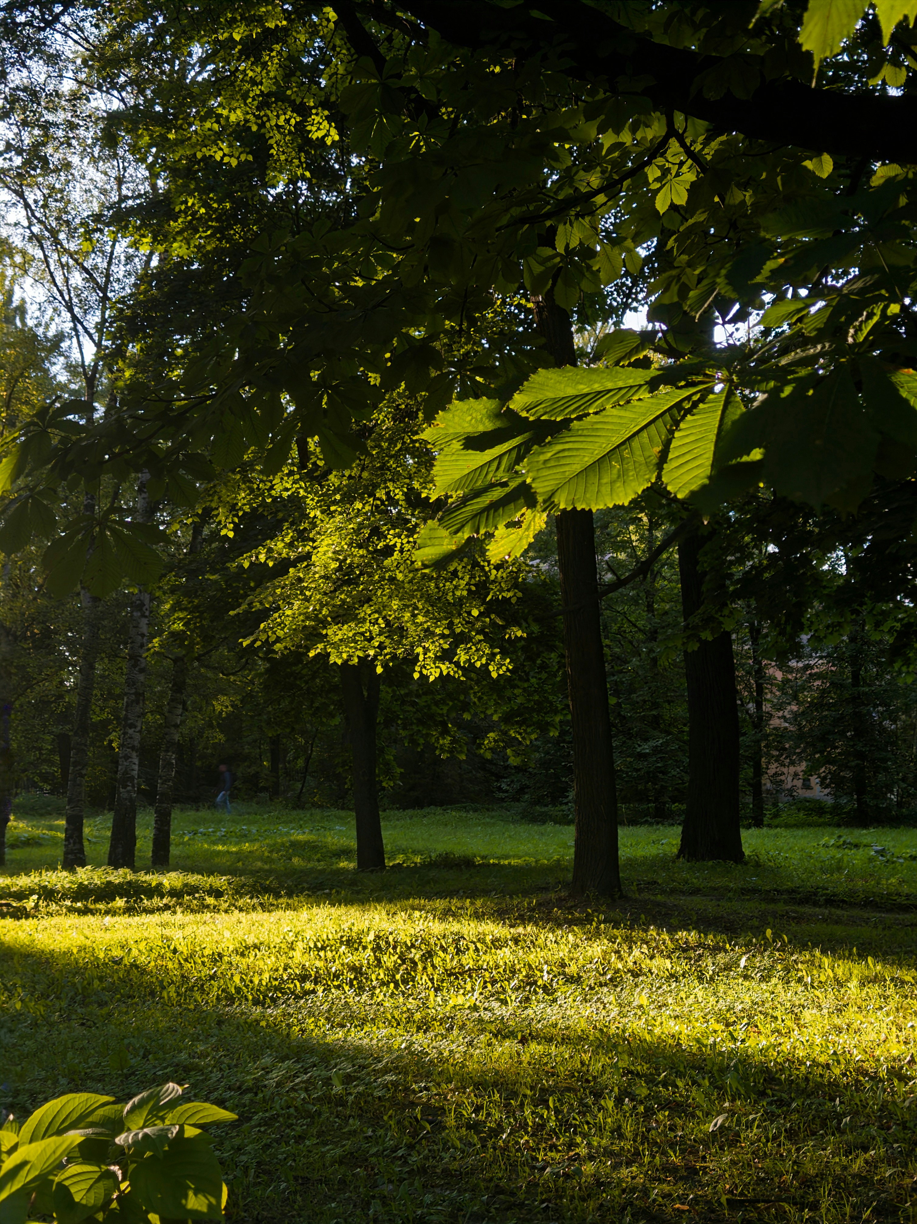 Photo by goldfinch1009