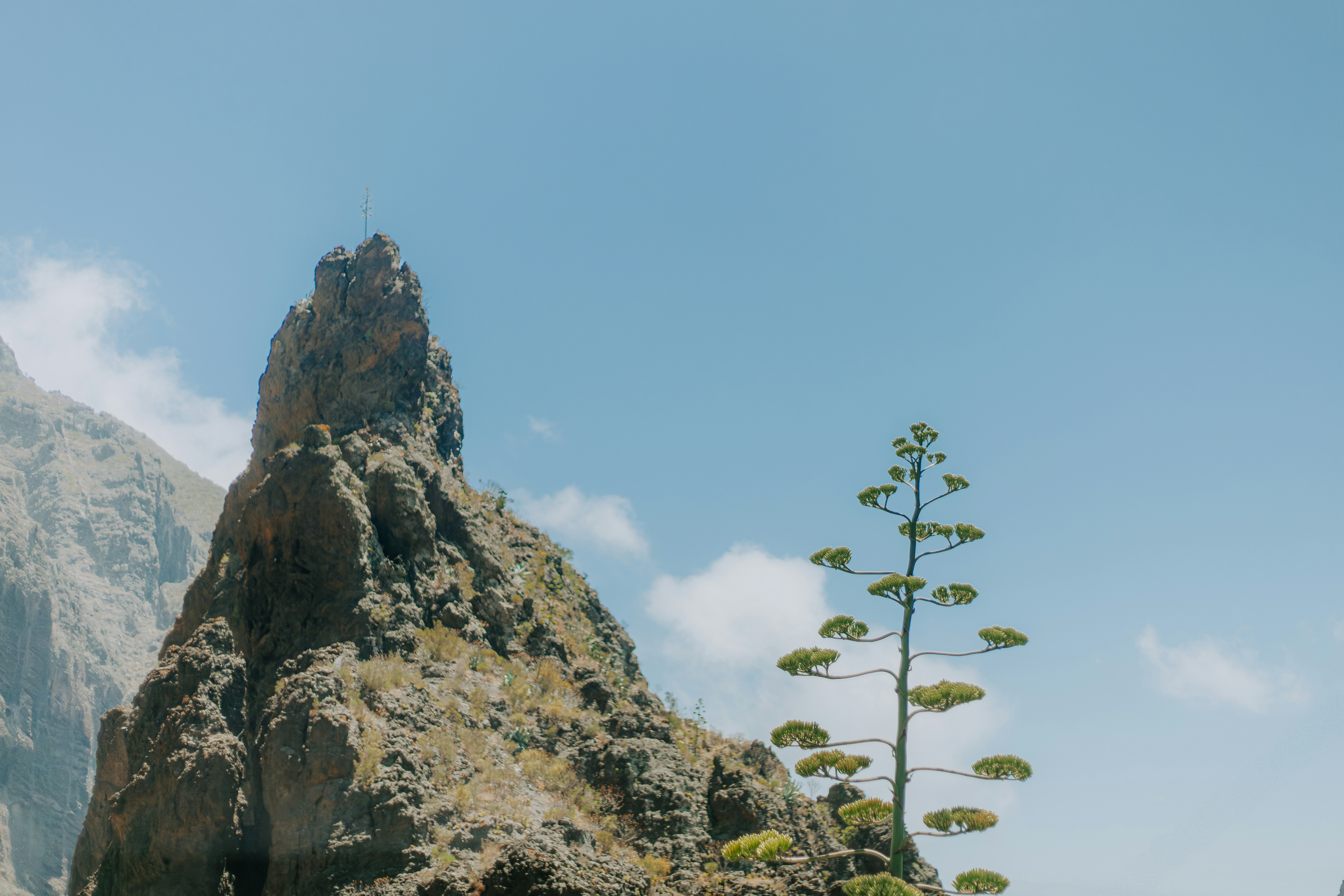 The Most Effective Reasons For People To Succeed In The Advanced Rollator Technology Industry