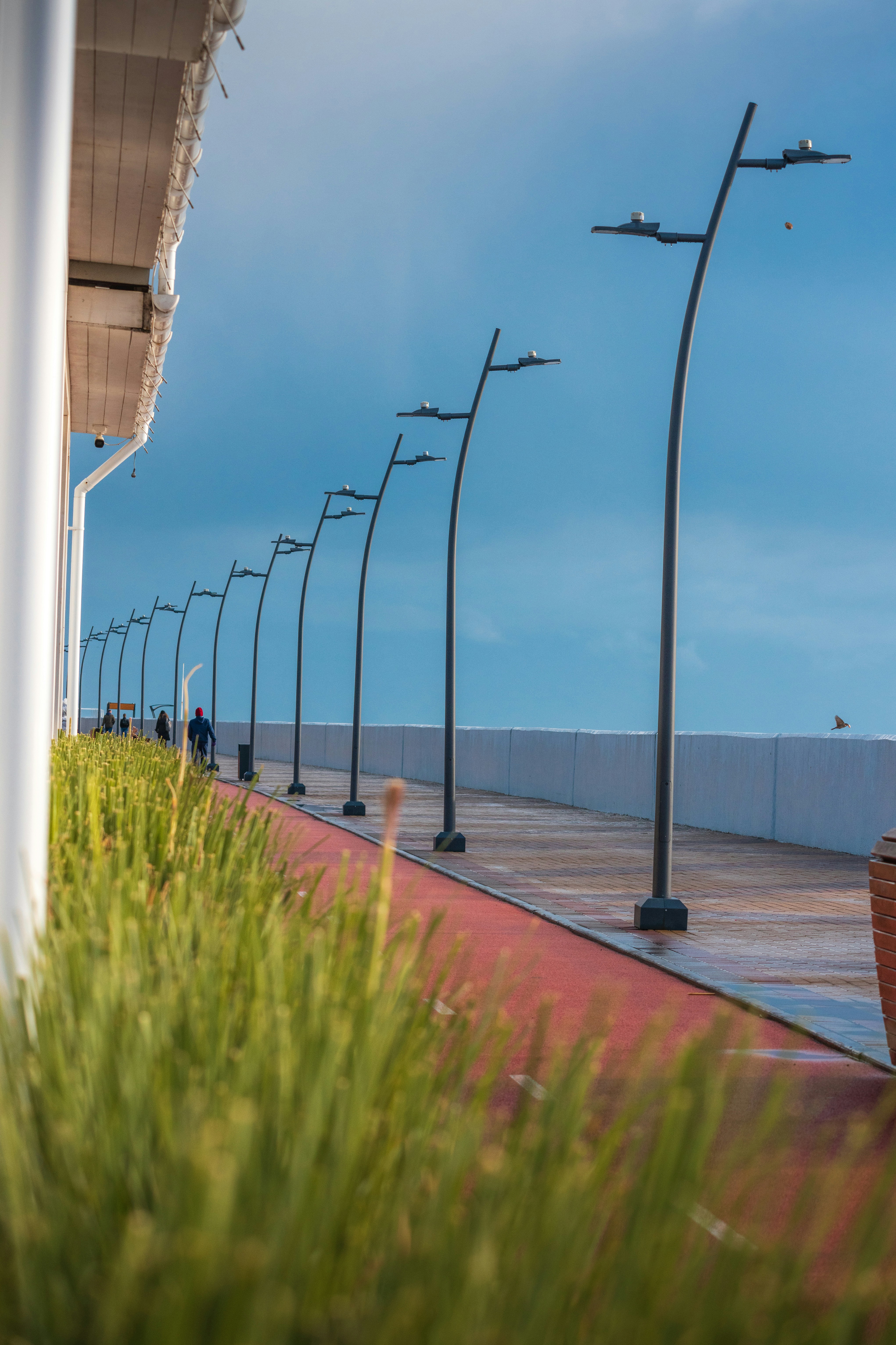 Empty promenade with streetlights and red path.